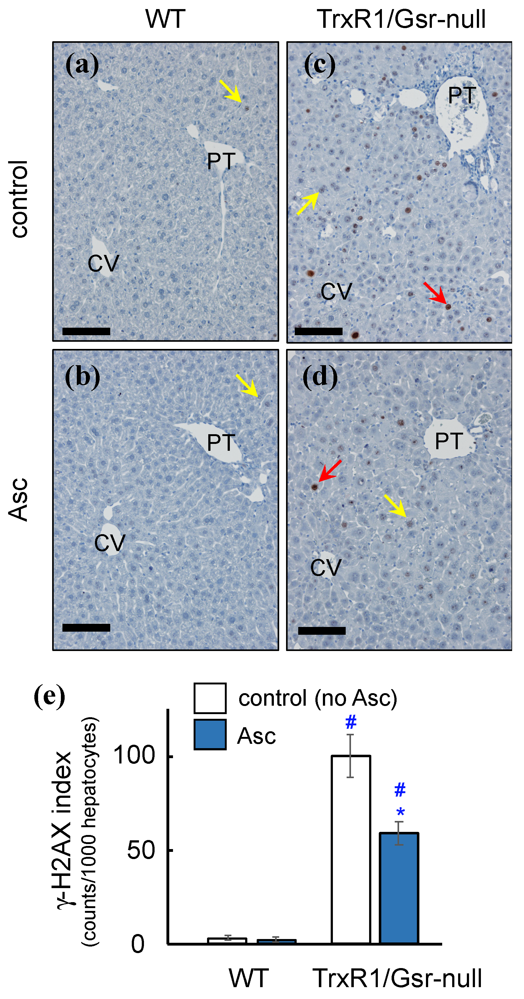 Antioxidants 10 00359 g006