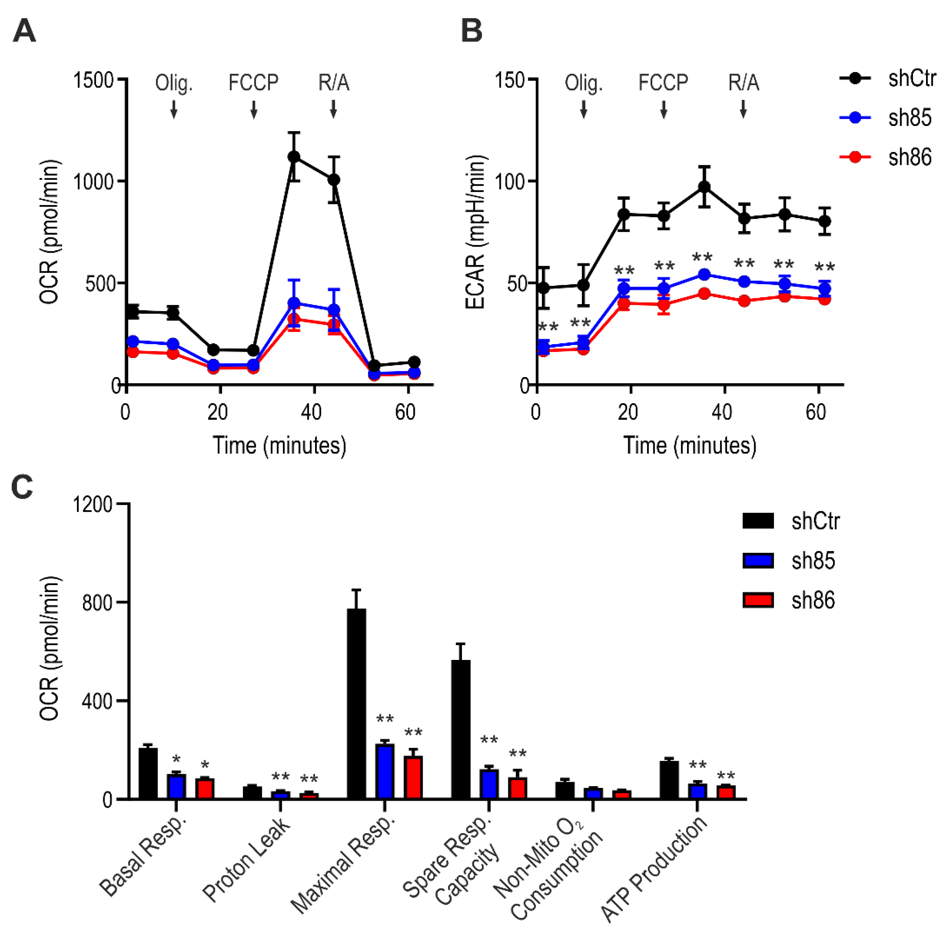 Antioxidants 10 00361 g006 Antioxidants 10 00361 g006