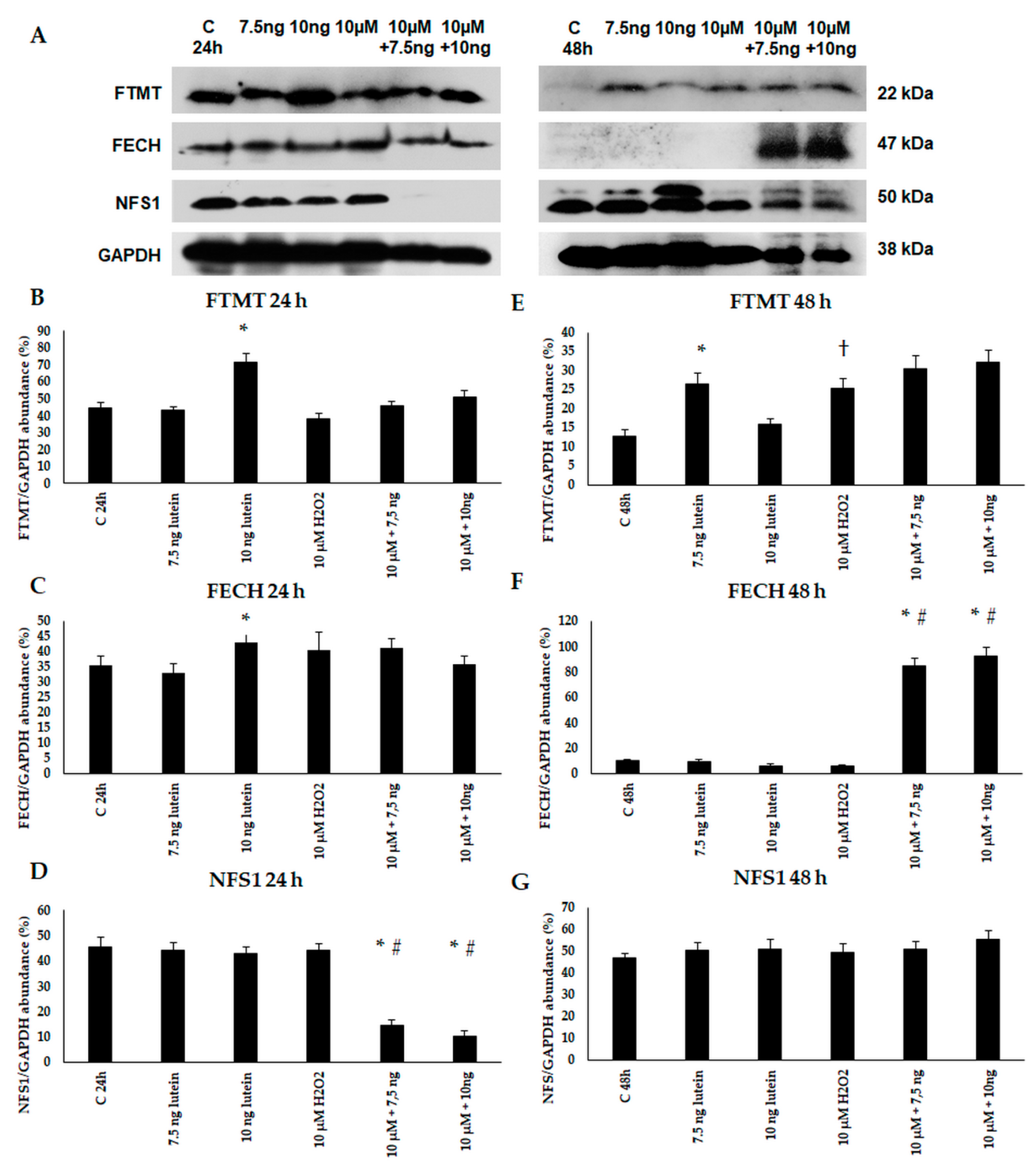 Antioxidants 10 00363 g011 Antioxidants 10 00363 g011