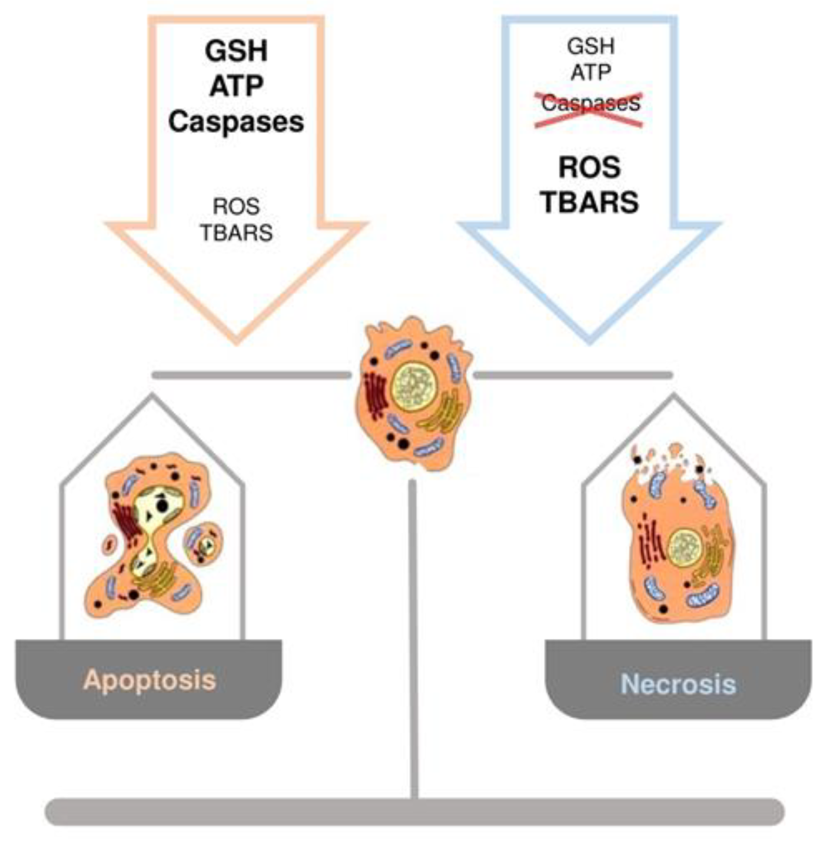 Antioxidants 10 00364 g004 Antioxidants 10 00364 g004