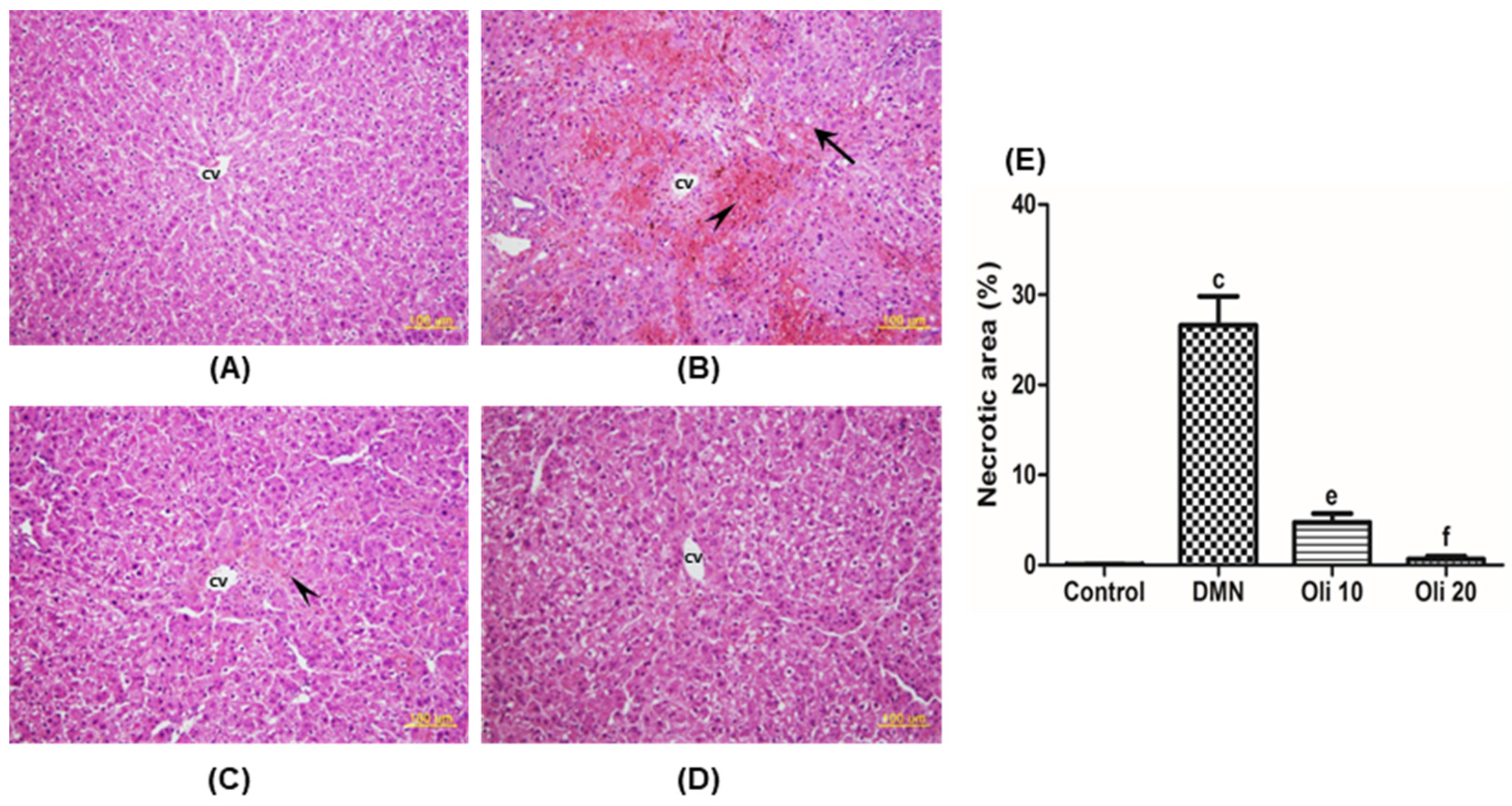 Antioxidants 10 00366 g003 Antioxidants 10 00366 g003