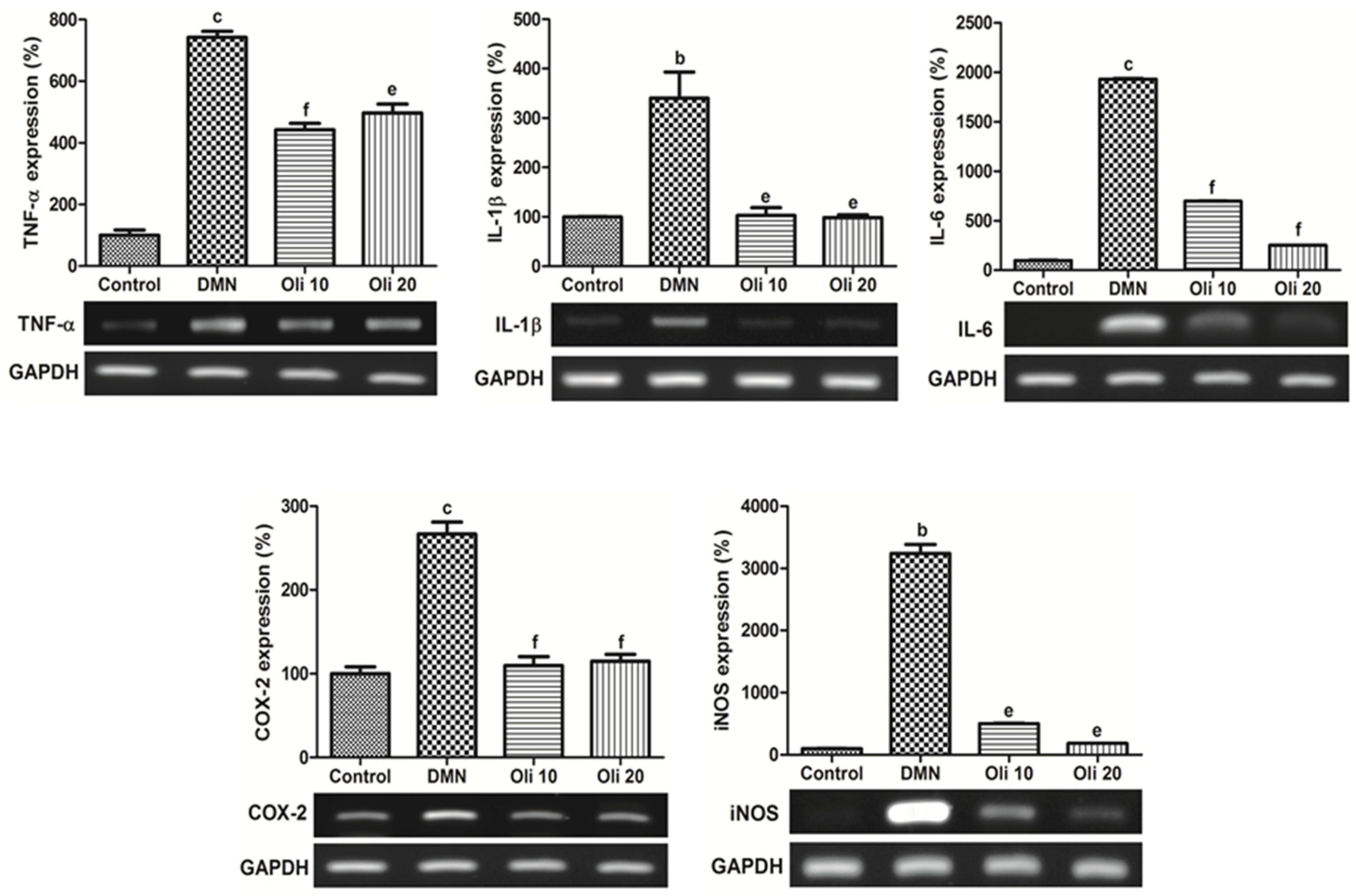 Antioxidants 10 00366 g005 Antioxidants 10 00366 g005