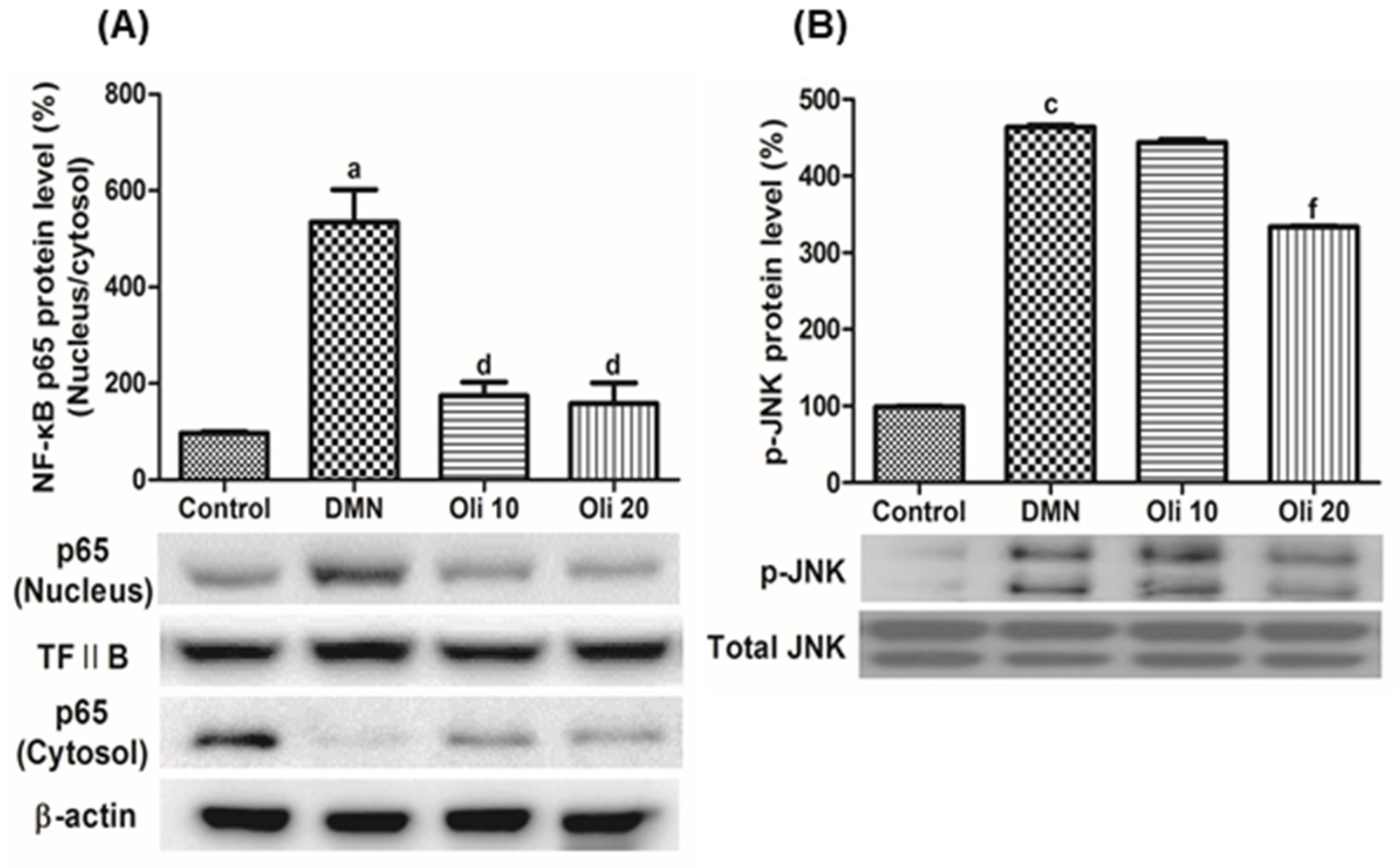 Antioxidants 10 00366 g006 Antioxidants 10 00366 g006