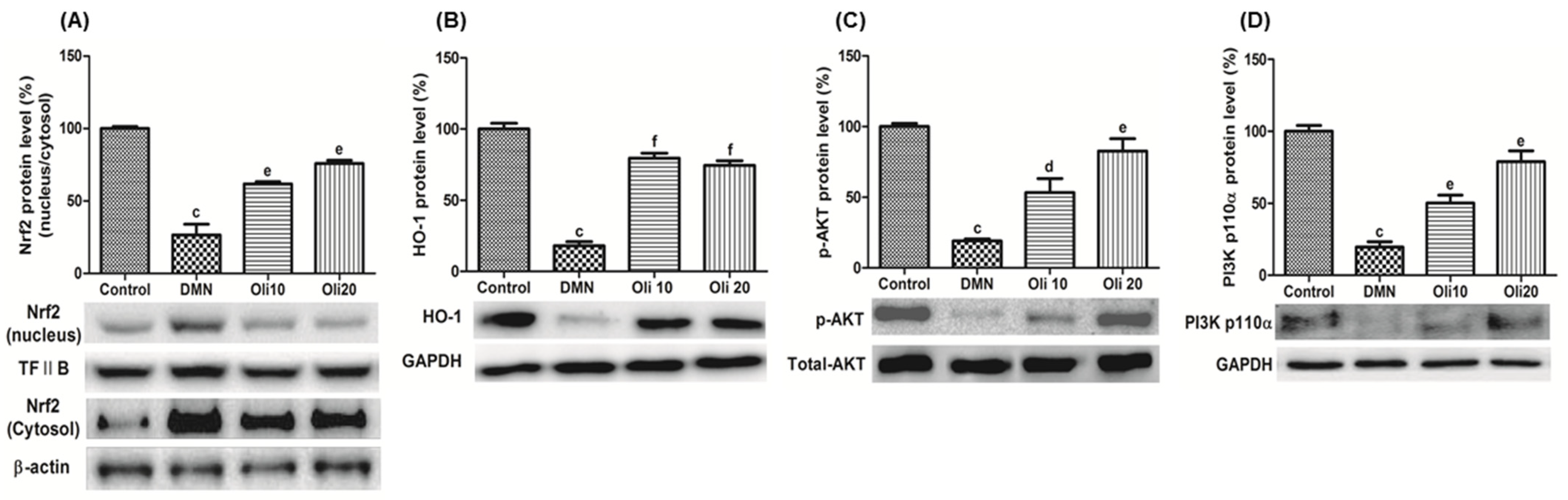 Antioxidants 10 00366 g007 Antioxidants 10 00366 g007