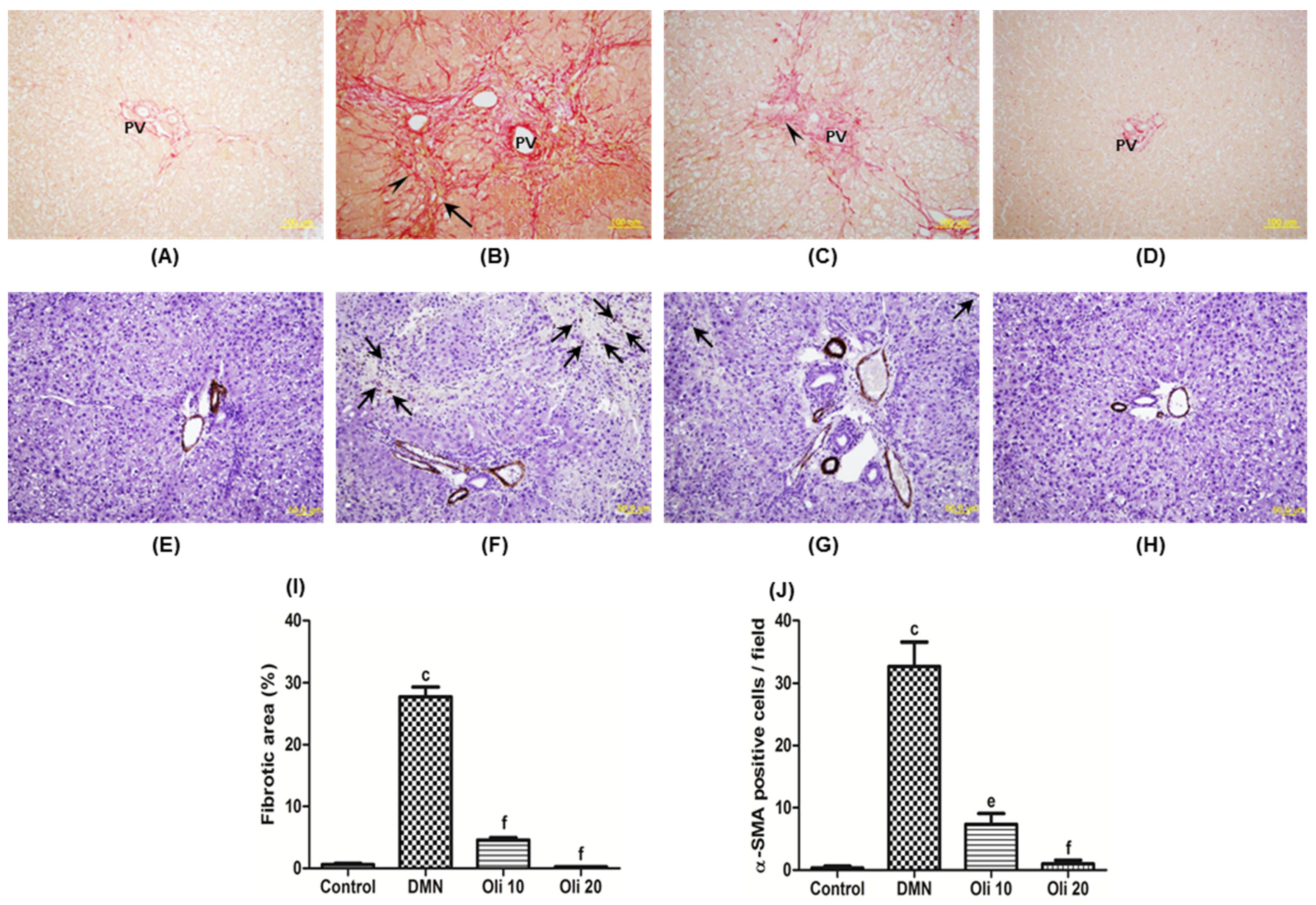 Antioxidants 10 00366 g008 Antioxidants 10 00366 g008