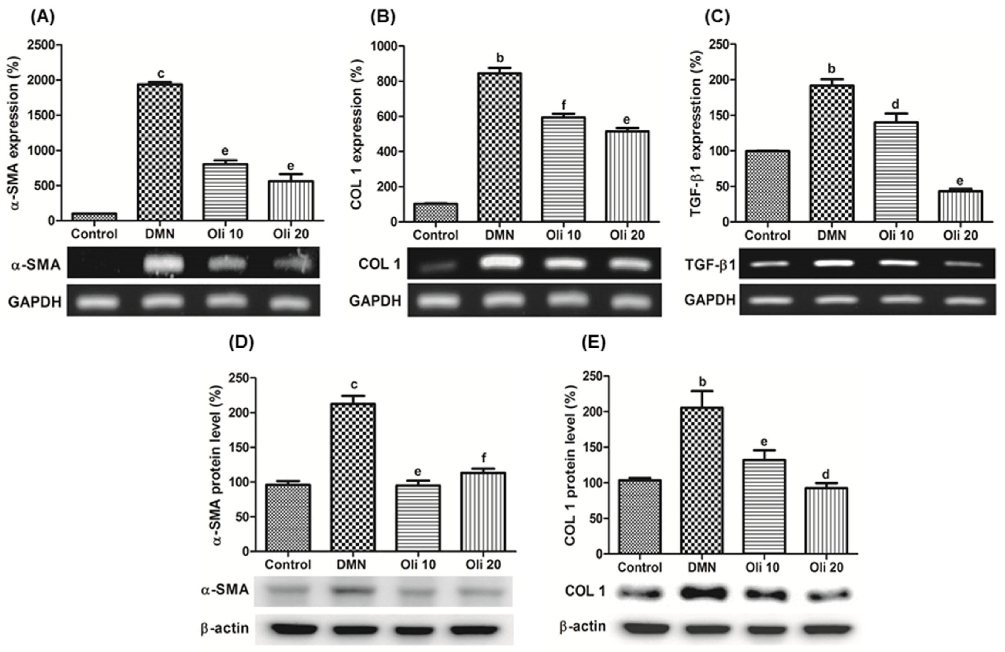 Antioxidants 10 00366 g009 Antioxidants 10 00366 g009