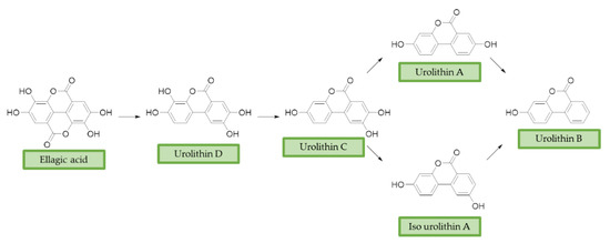 Antioxidants 10 00367 g003 550
