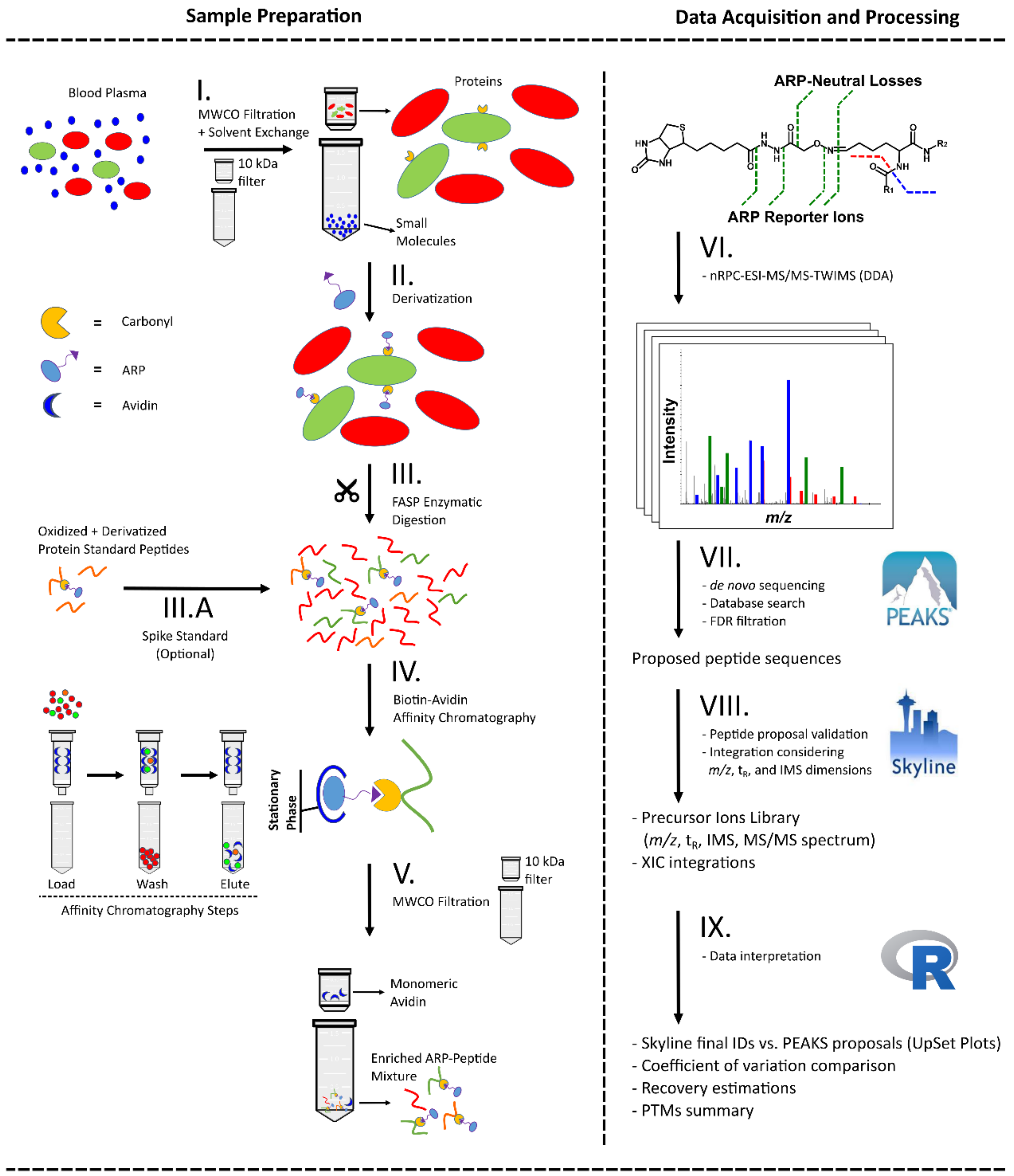Antioxidants 10 00369 g001 Antioxidants 10 00369 g001