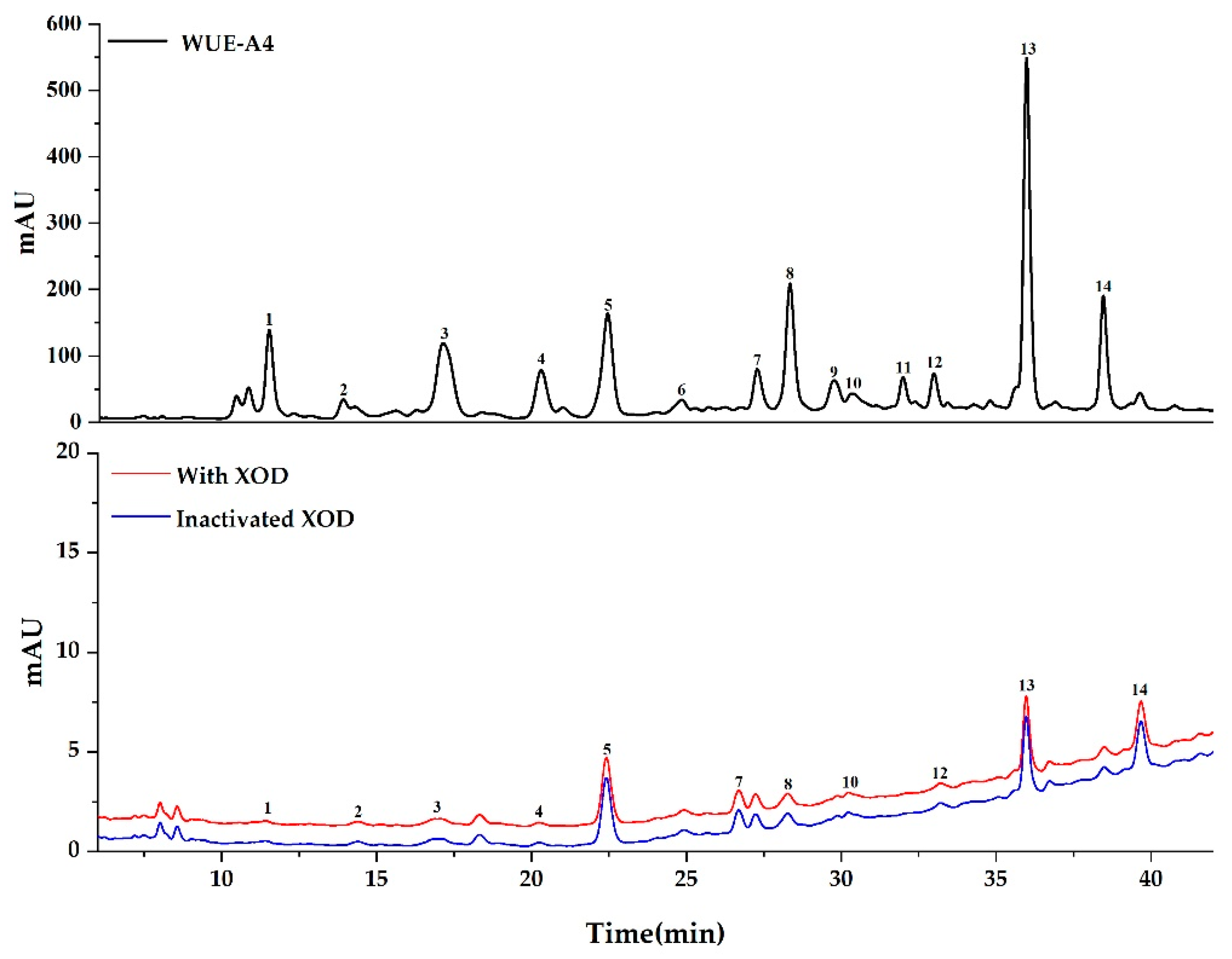 Antioxidants 10 00370 g004 Antioxidants 10 00370 g004