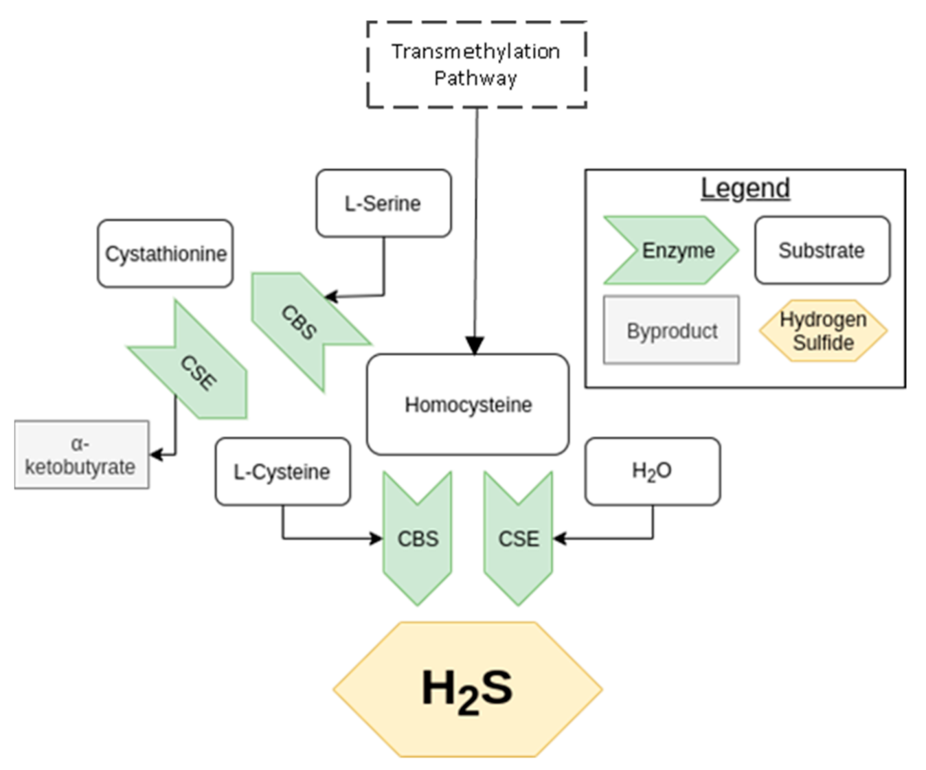 Antioxidants 10 00373 g001