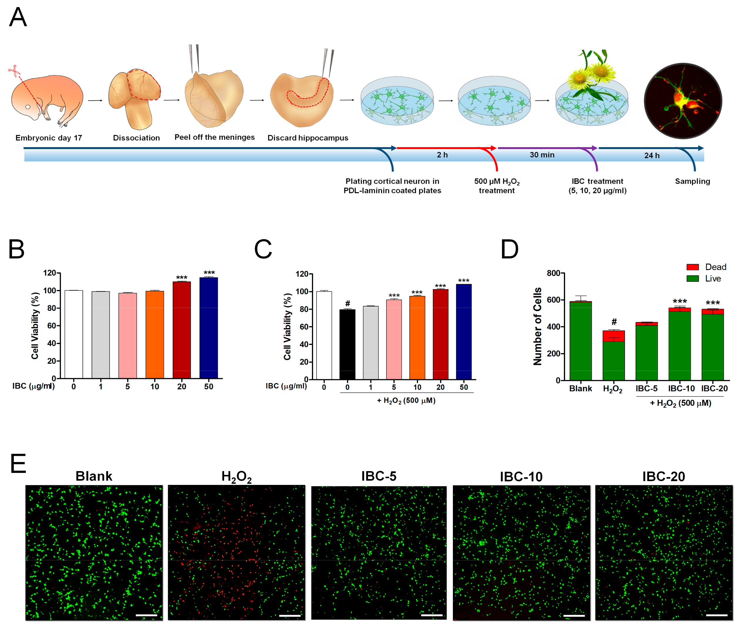 Antioxidants 10 00375 g001 Antioxidants 10 00375 g001