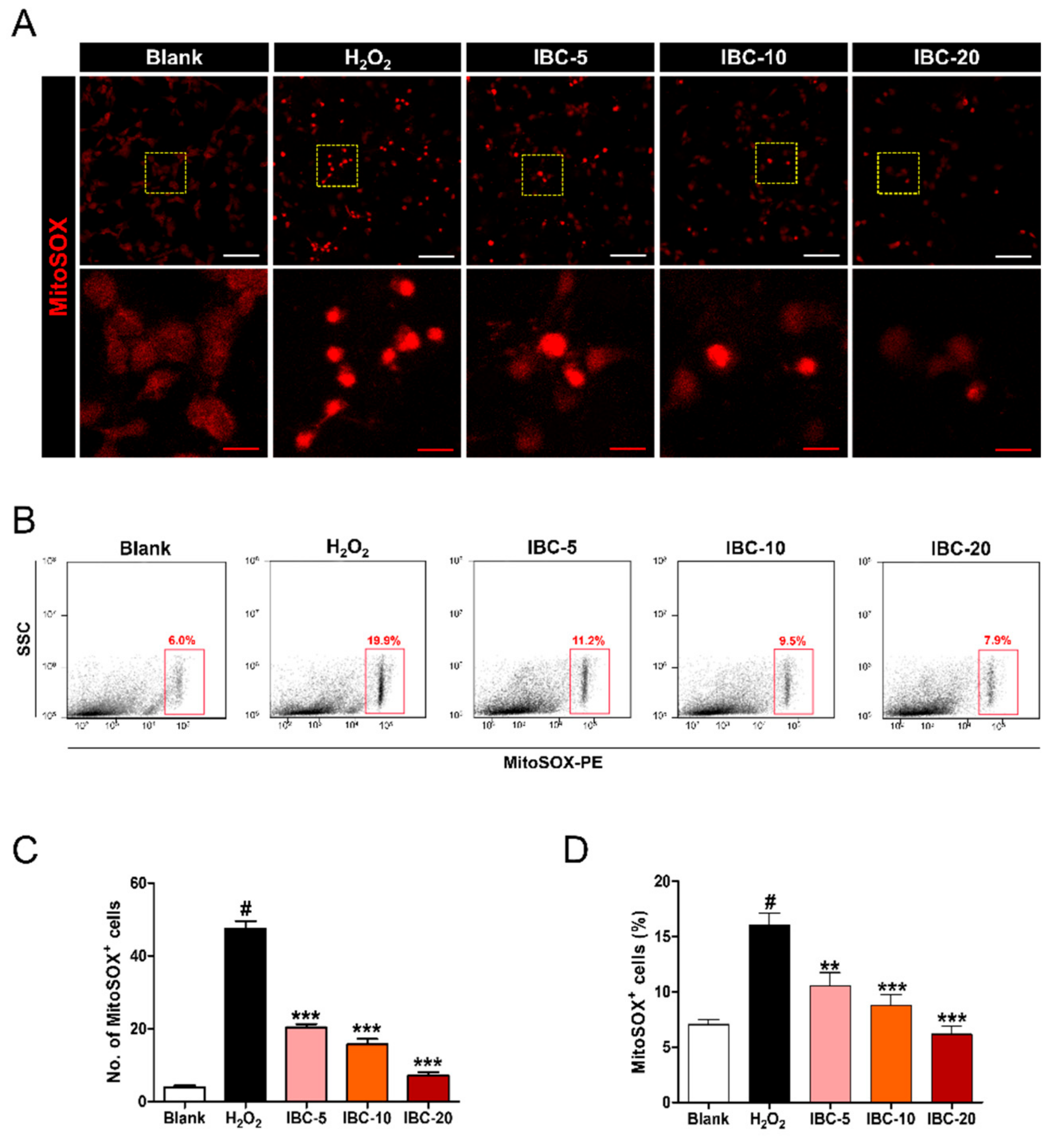 Antioxidants 10 00375 g002 Antioxidants 10 00375 g002
