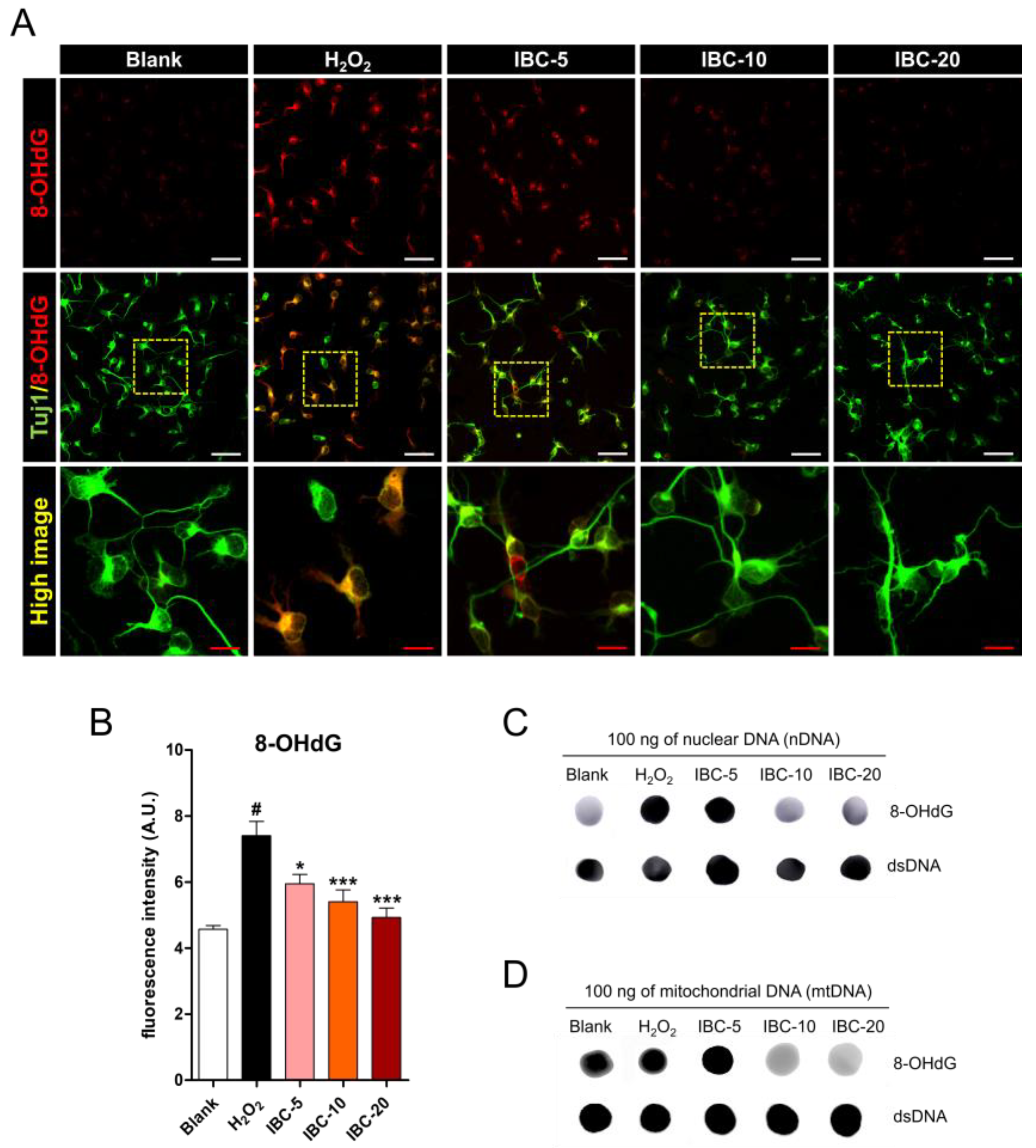 Antioxidants 10 00375 g004 Antioxidants 10 00375 g004