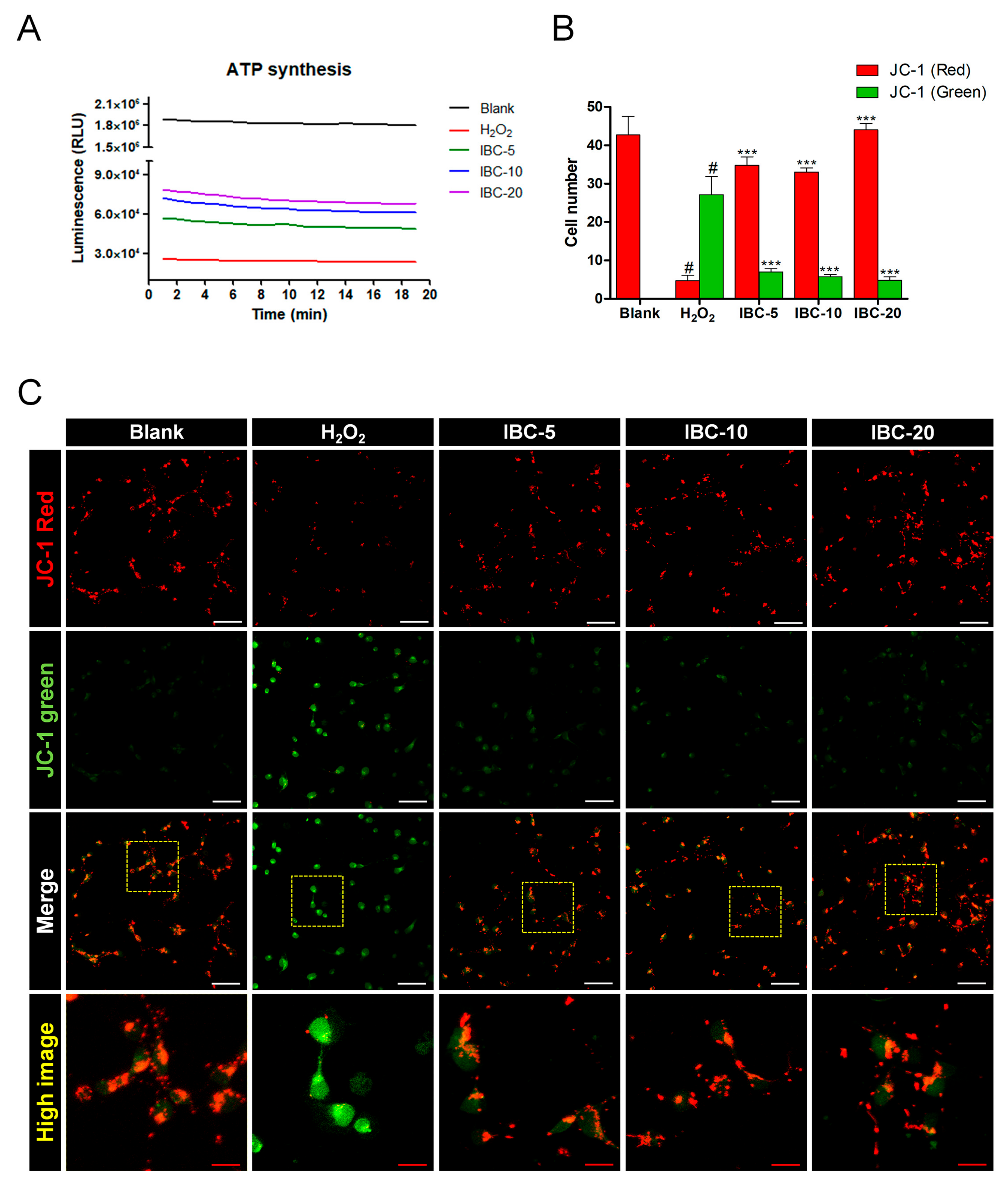 Antioxidants 10 00375 g005 Antioxidants 10 00375 g005