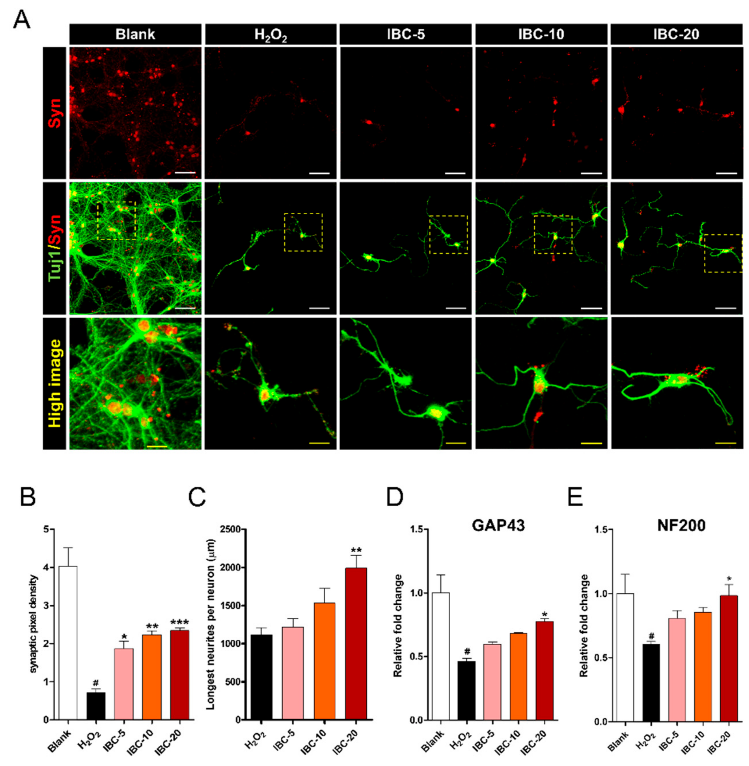 Antioxidants 10 00375 g009 Antioxidants 10 00375 g009