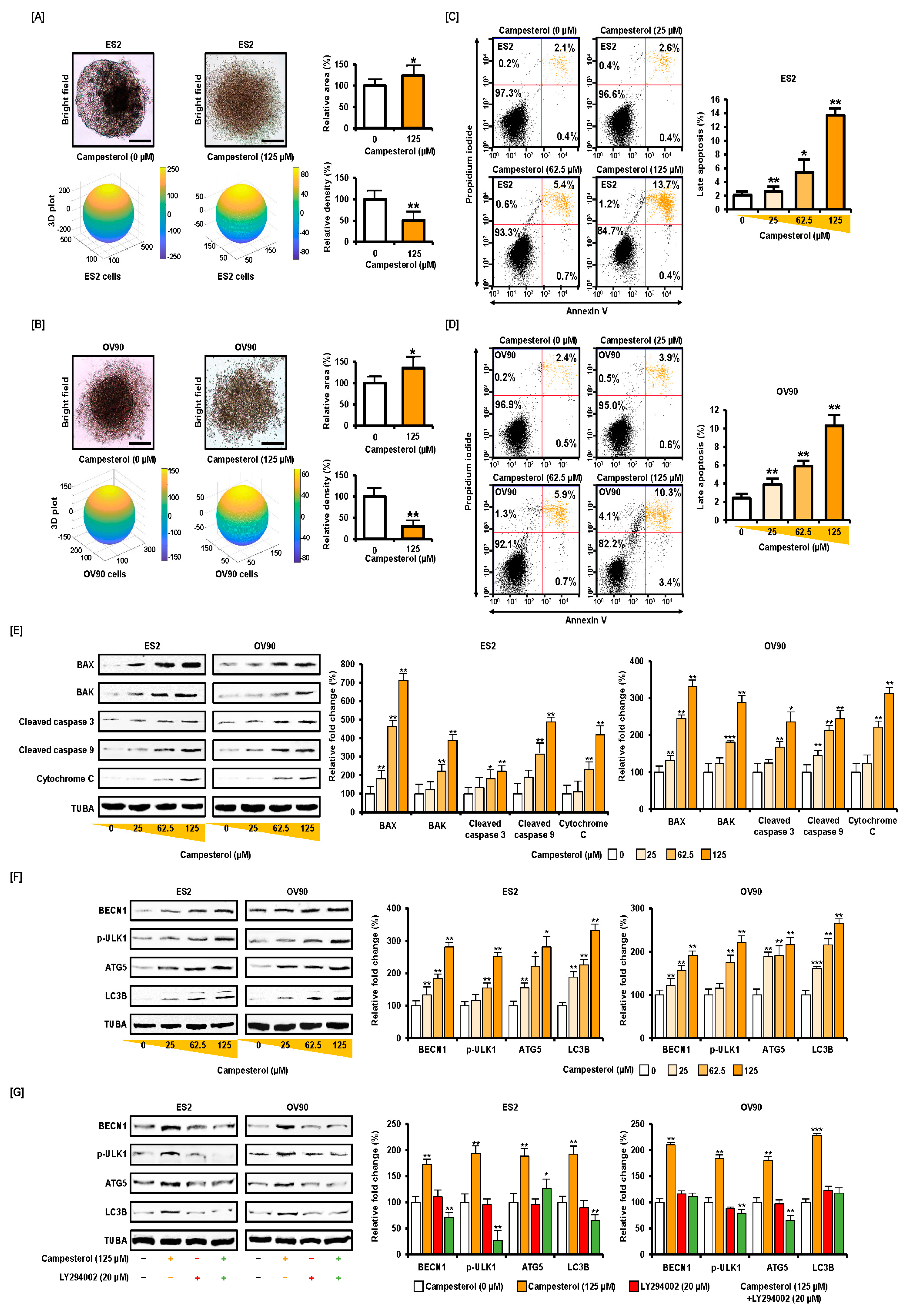 Antioxidants 10 00379 g001 Antioxidants 10 00379 g001