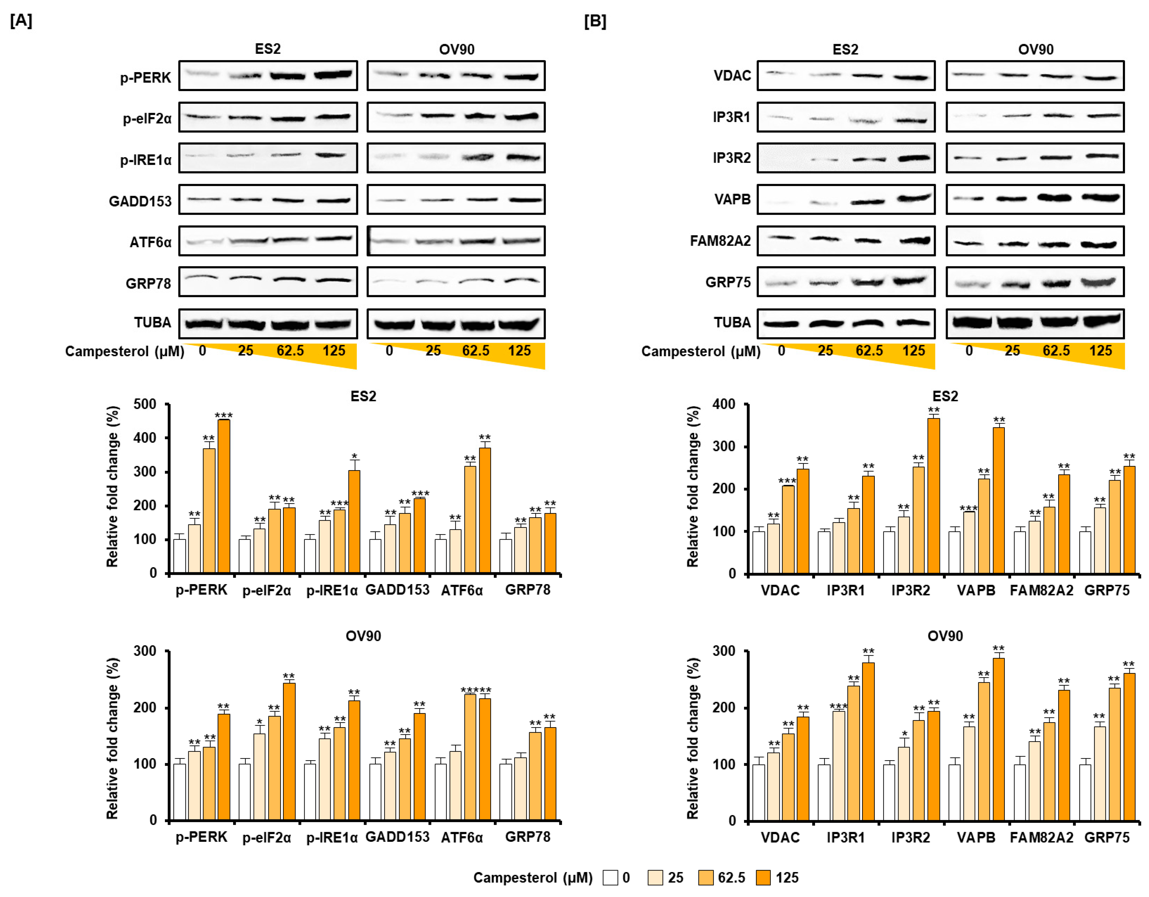 Antioxidants 10 00379 g004 Antioxidants 10 00379 g004