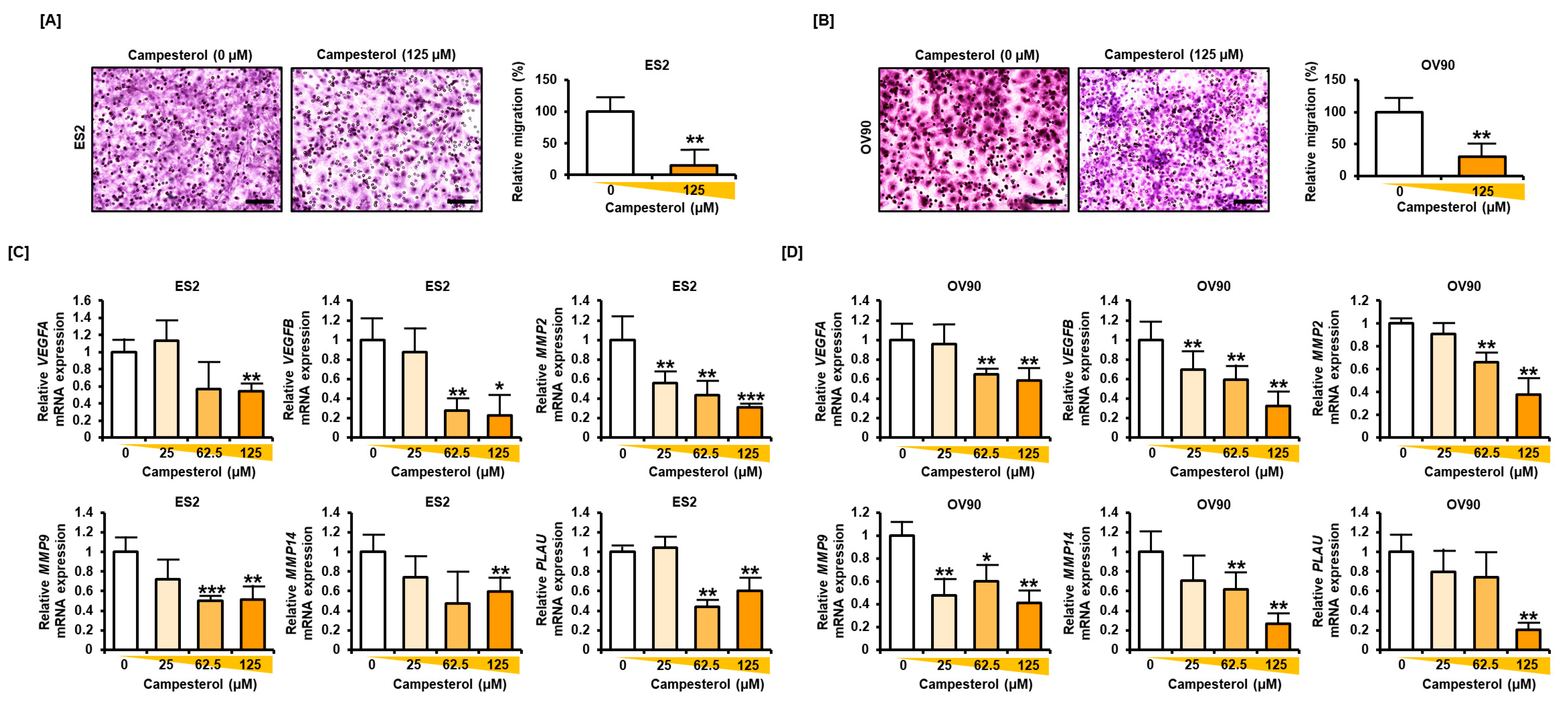 Antioxidants 10 00379 g007 Antioxidants 10 00379 g007