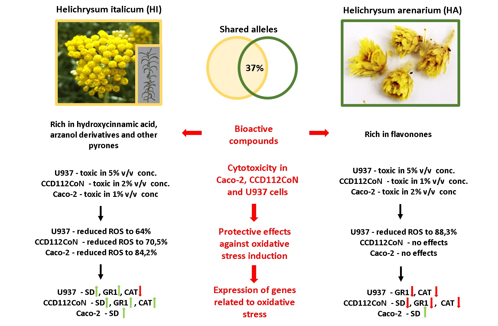 Antioxidants Free FullText A Comparative Study of the