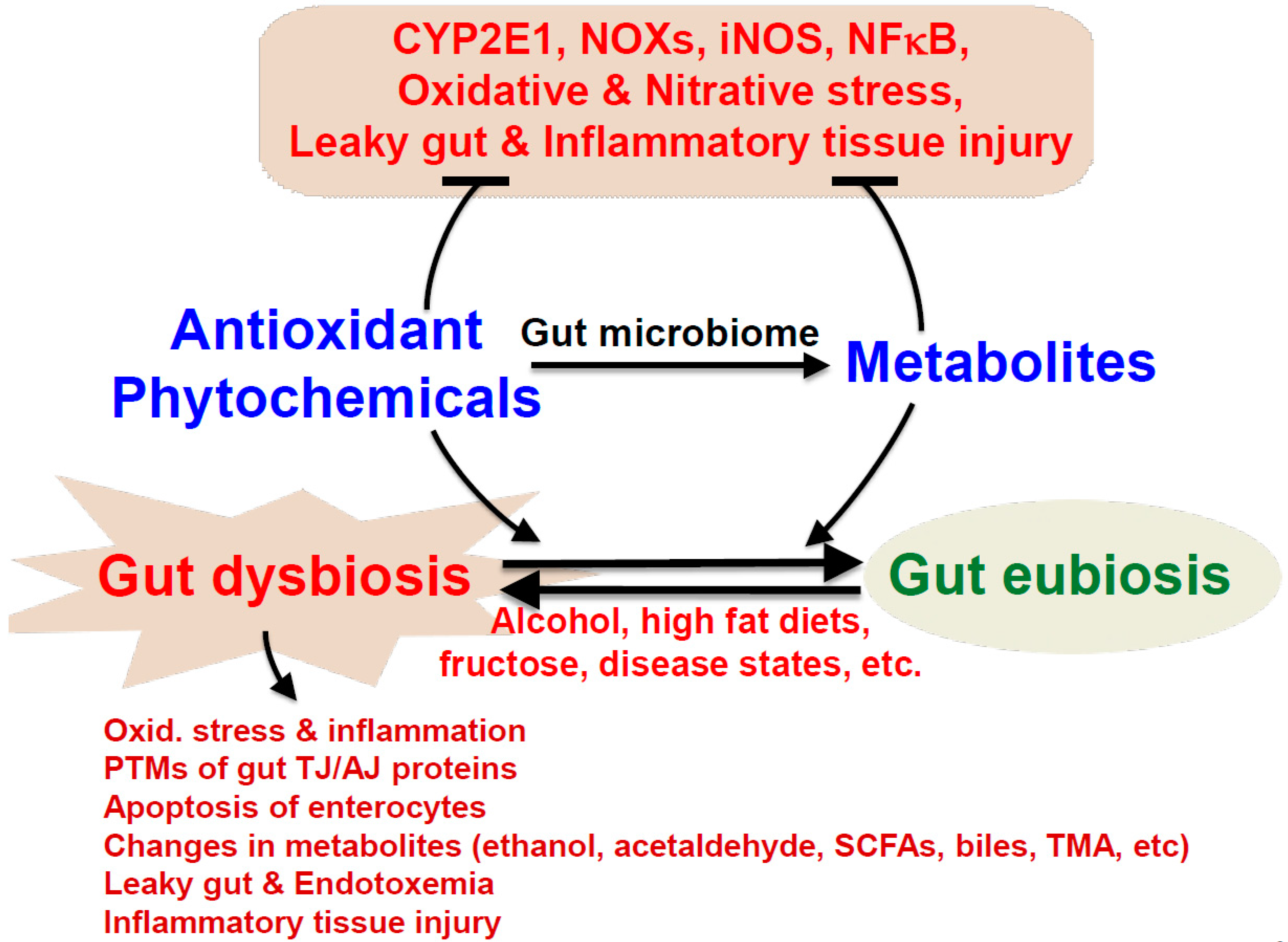 Antioxidants 10 00384 g002