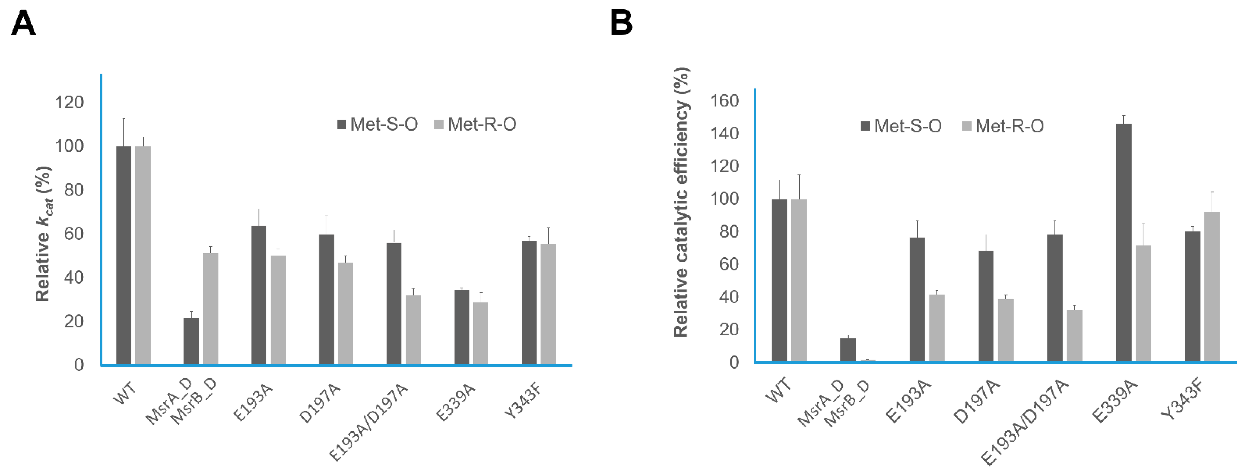 Antioxidants 10 00389 g005