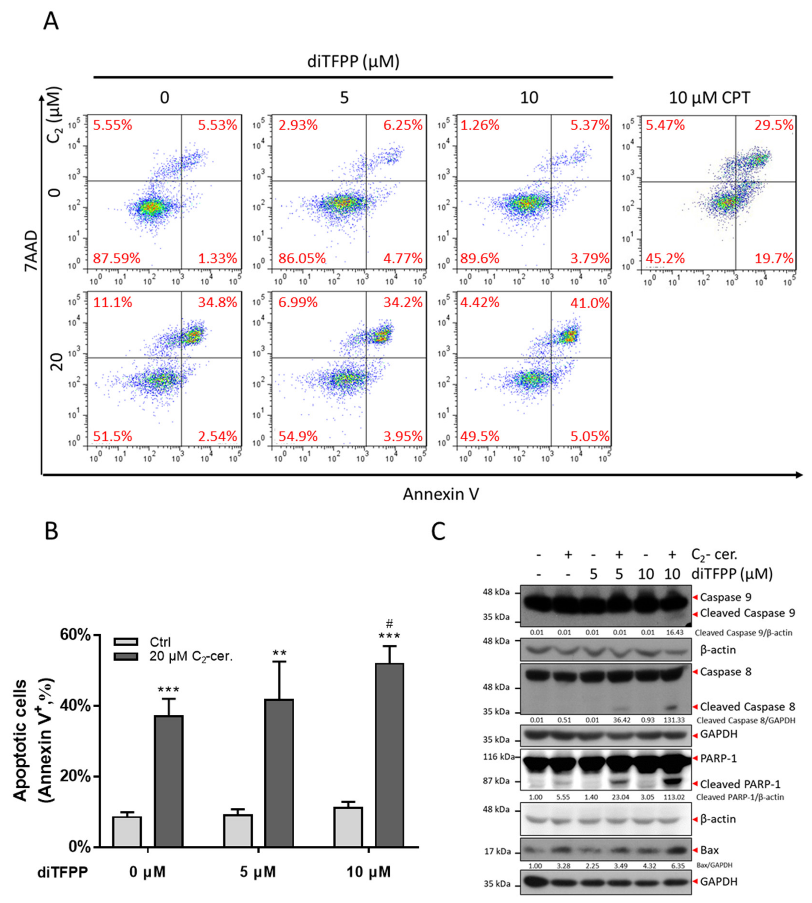 Antioxidants 10 00394 g002