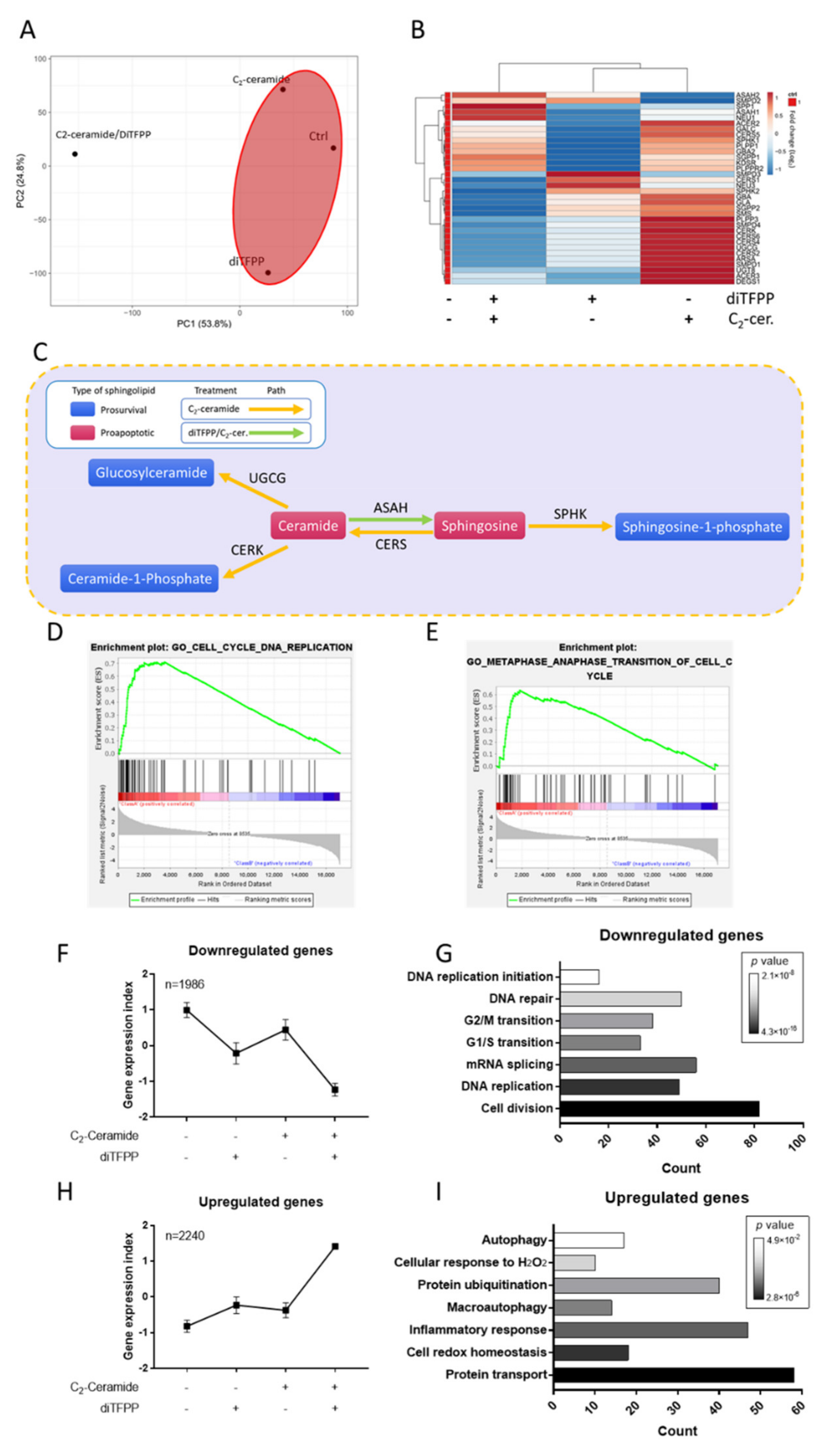 Antioxidants 10 00394 g003