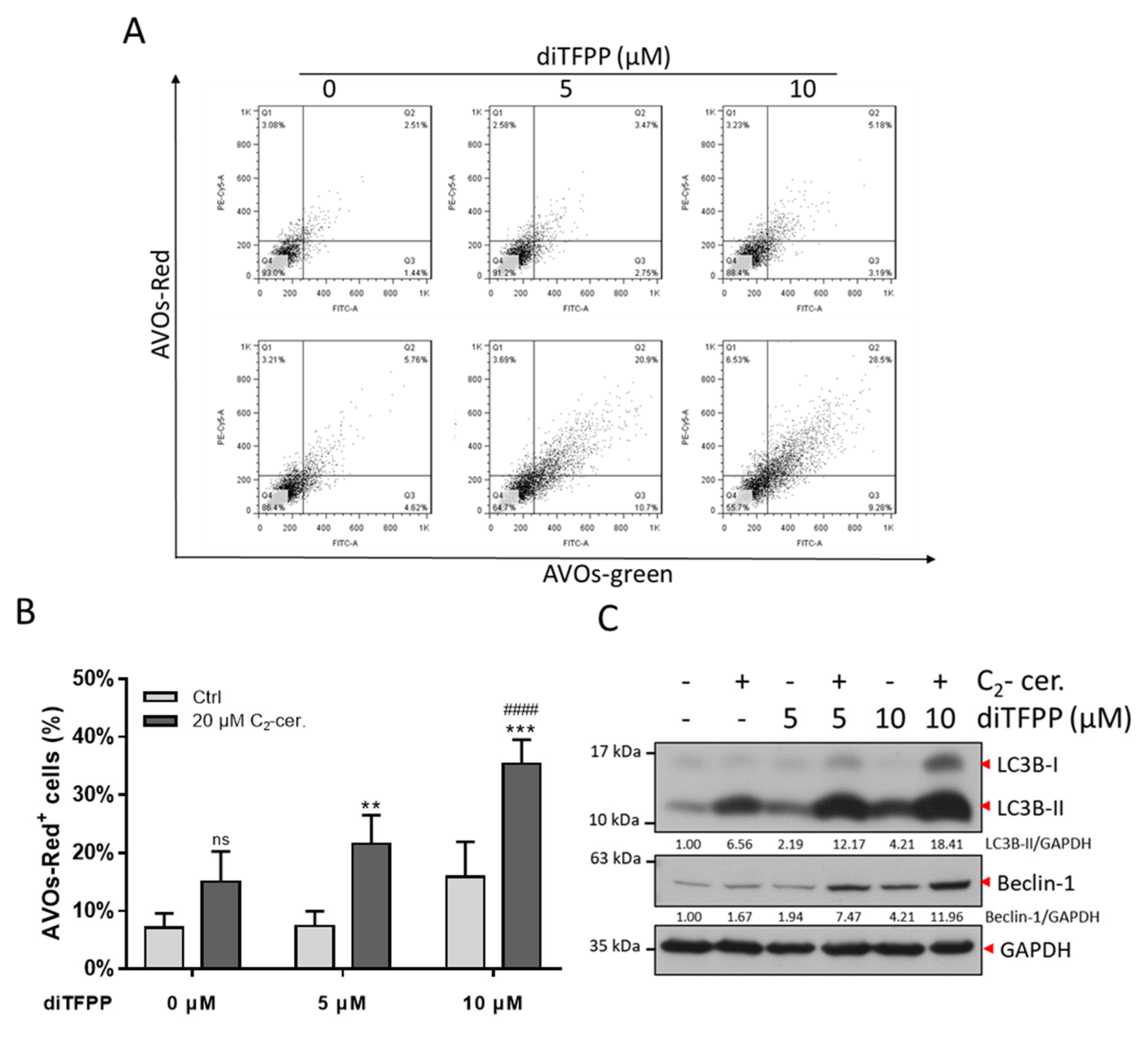 Antioxidants 10 00394 g004