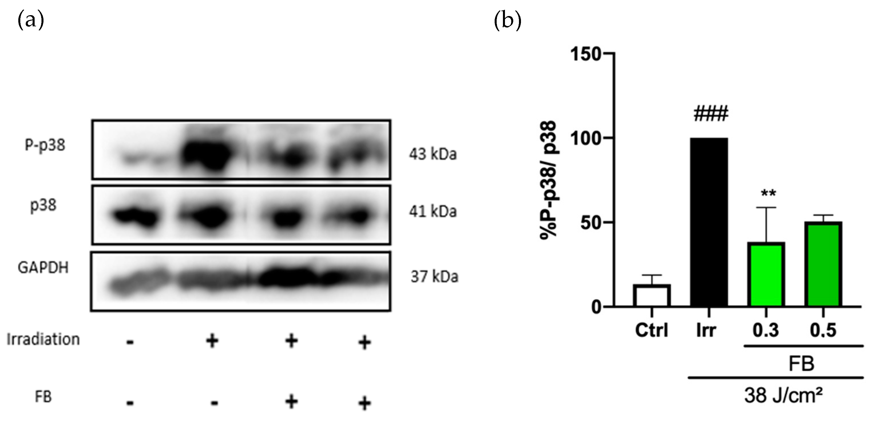 Antioxidants 10 00400 g004 Antioxidants 10 00400 g004
