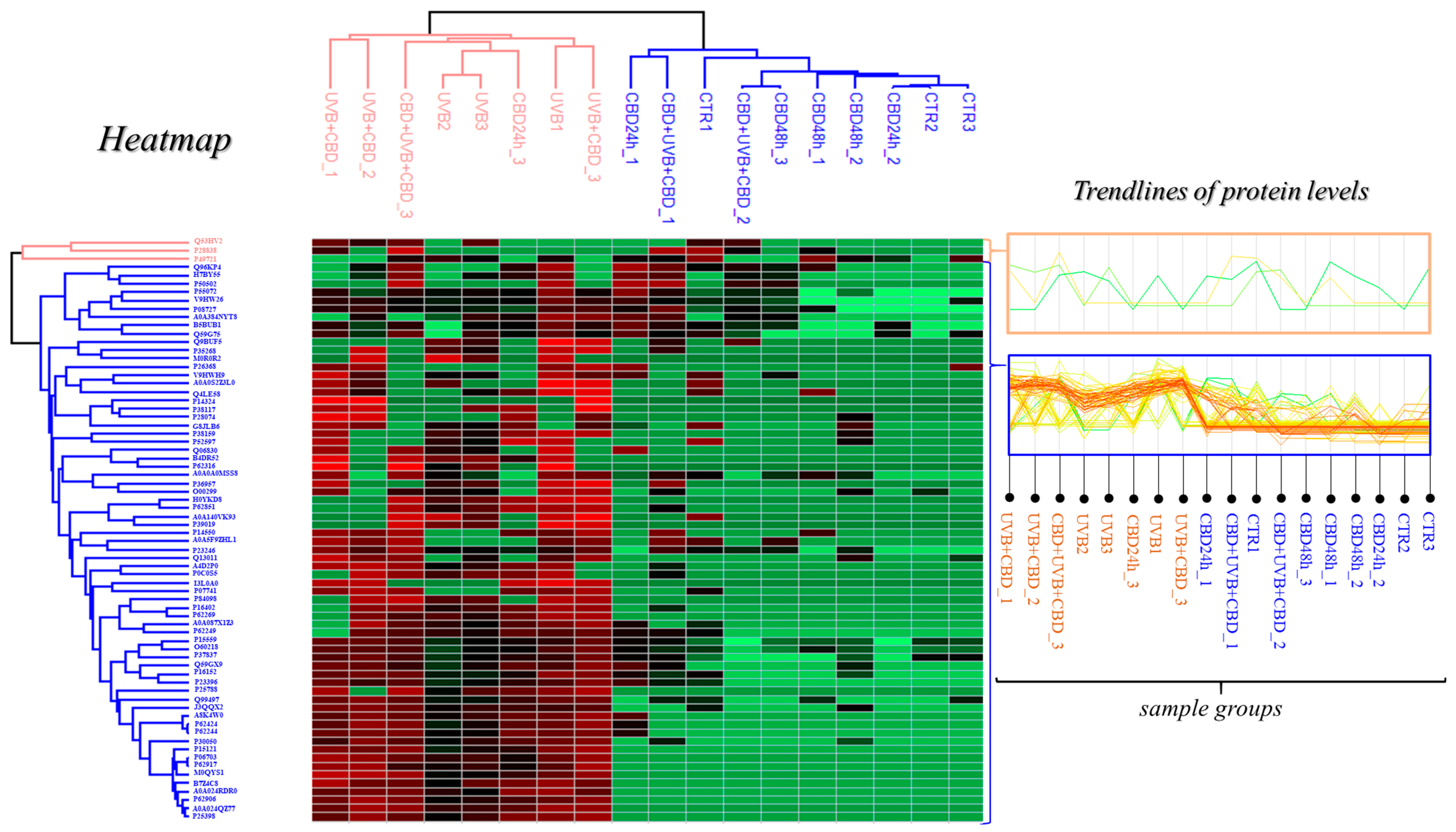 Protective Effects of Cannabidiol on the Membrane Proteome