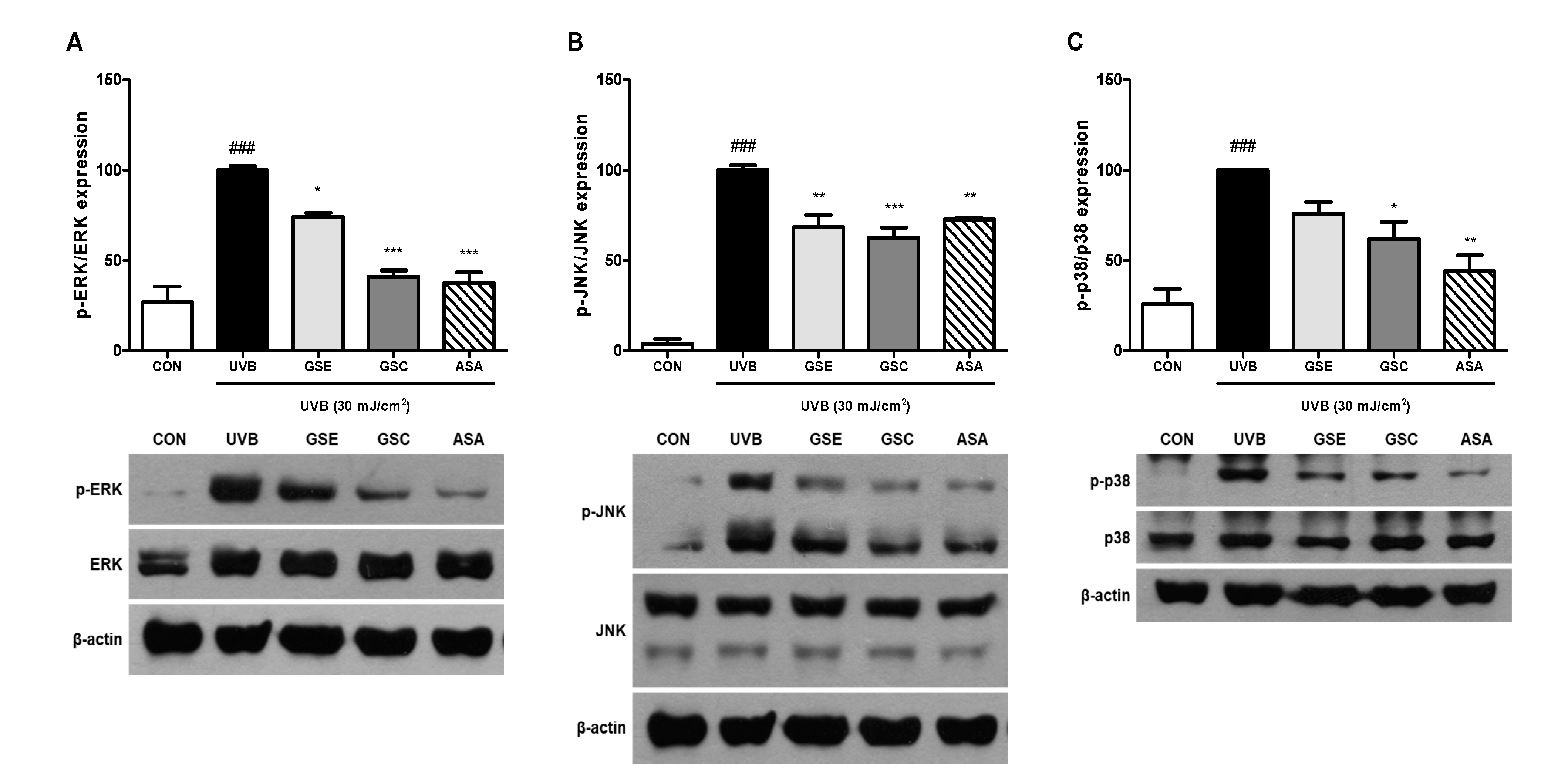 Antioxidants 10 00403 g003 Antioxidants 10 00403 g003