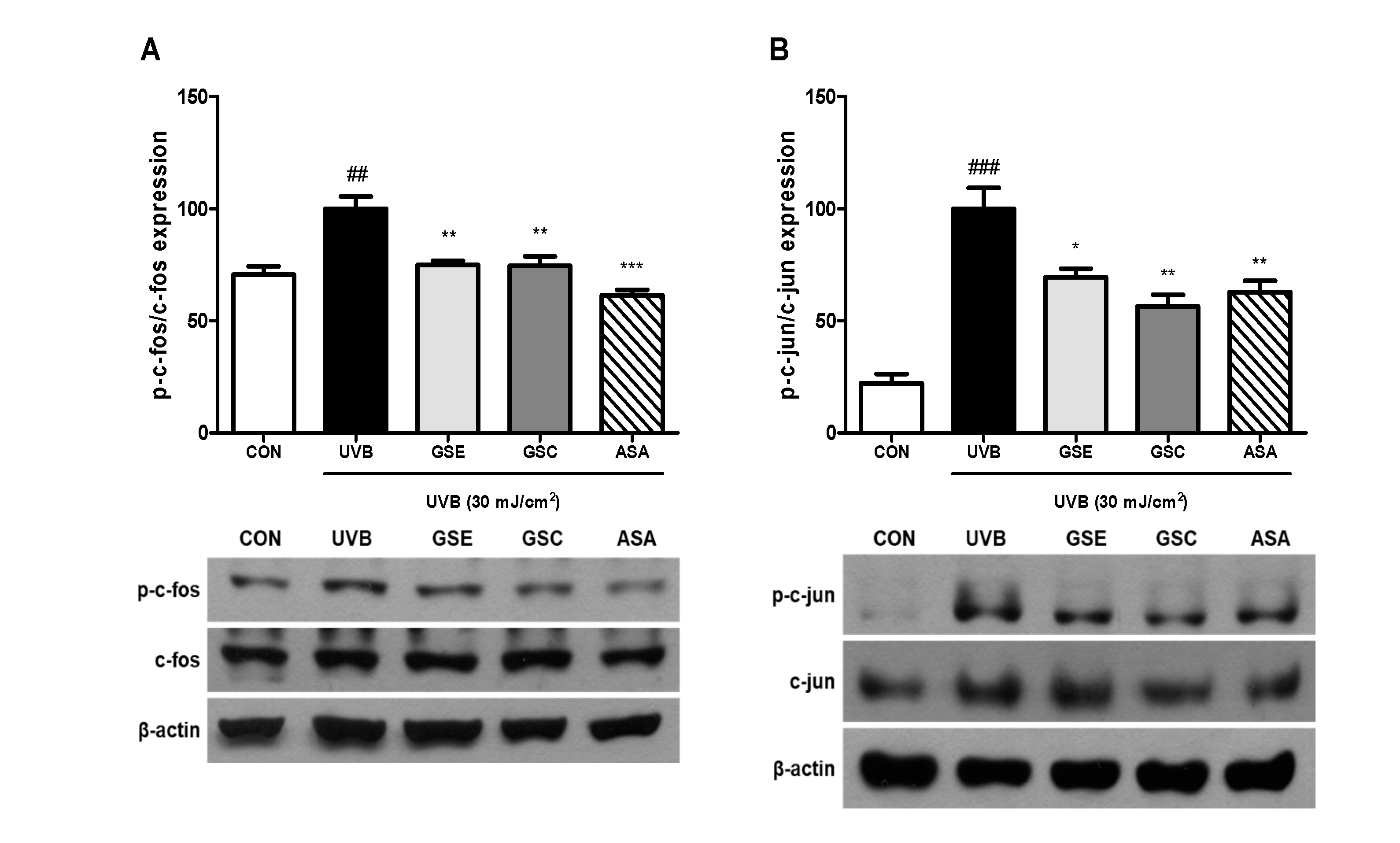 Antioxidants 10 00403 g004 Antioxidants 10 00403 g004