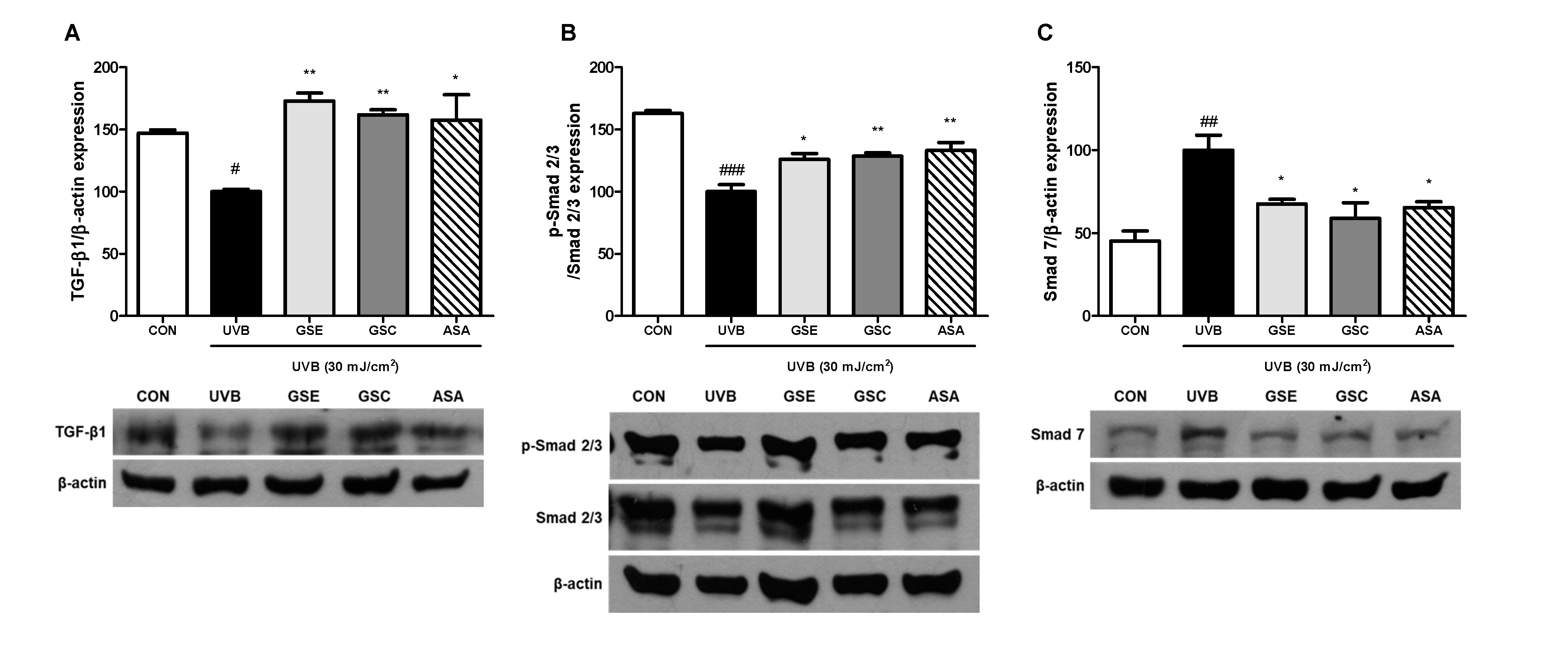 Antioxidants 10 00403 g005 Antioxidants 10 00403 g005