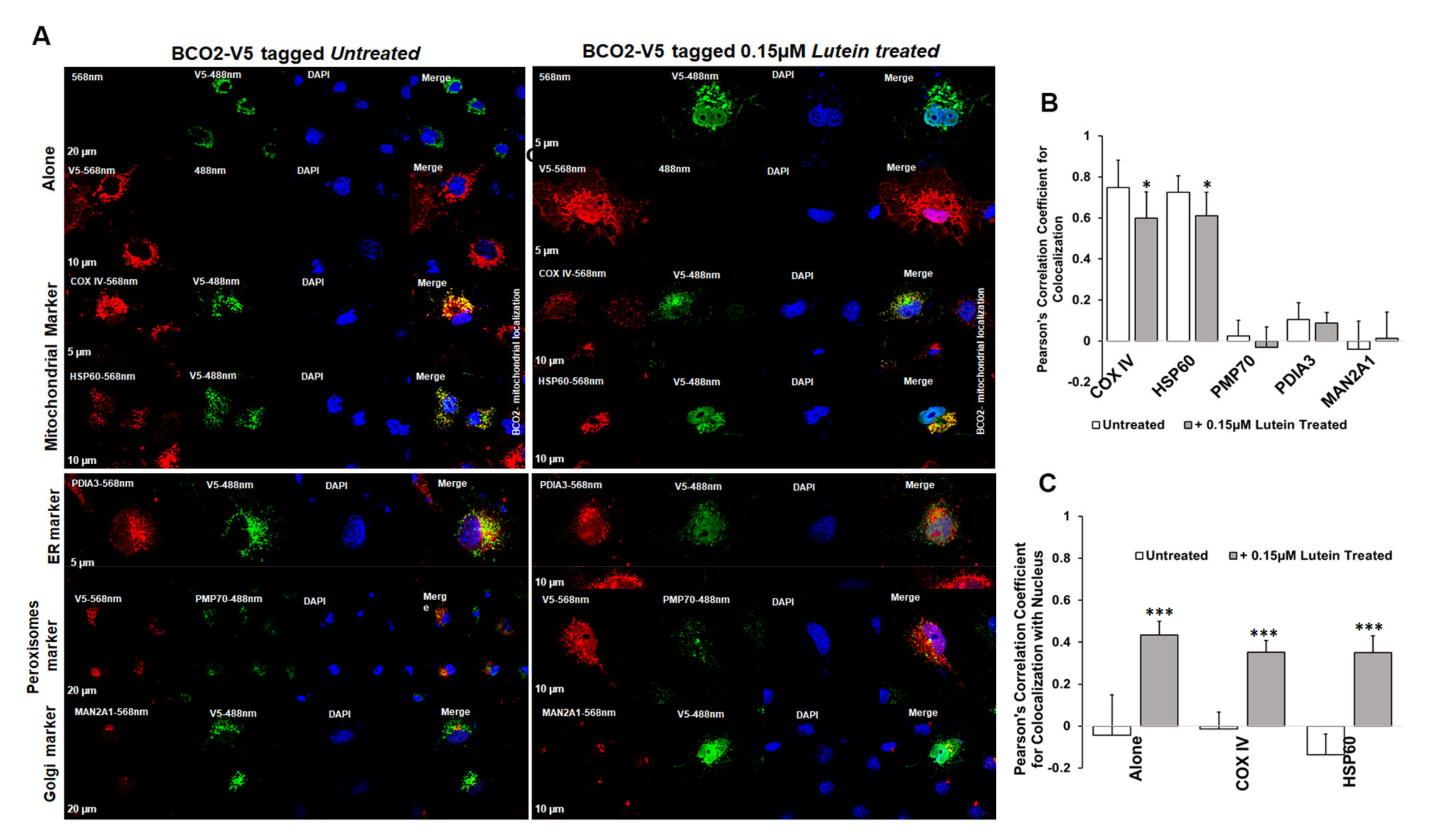 Antioxidants 10 00413 g003