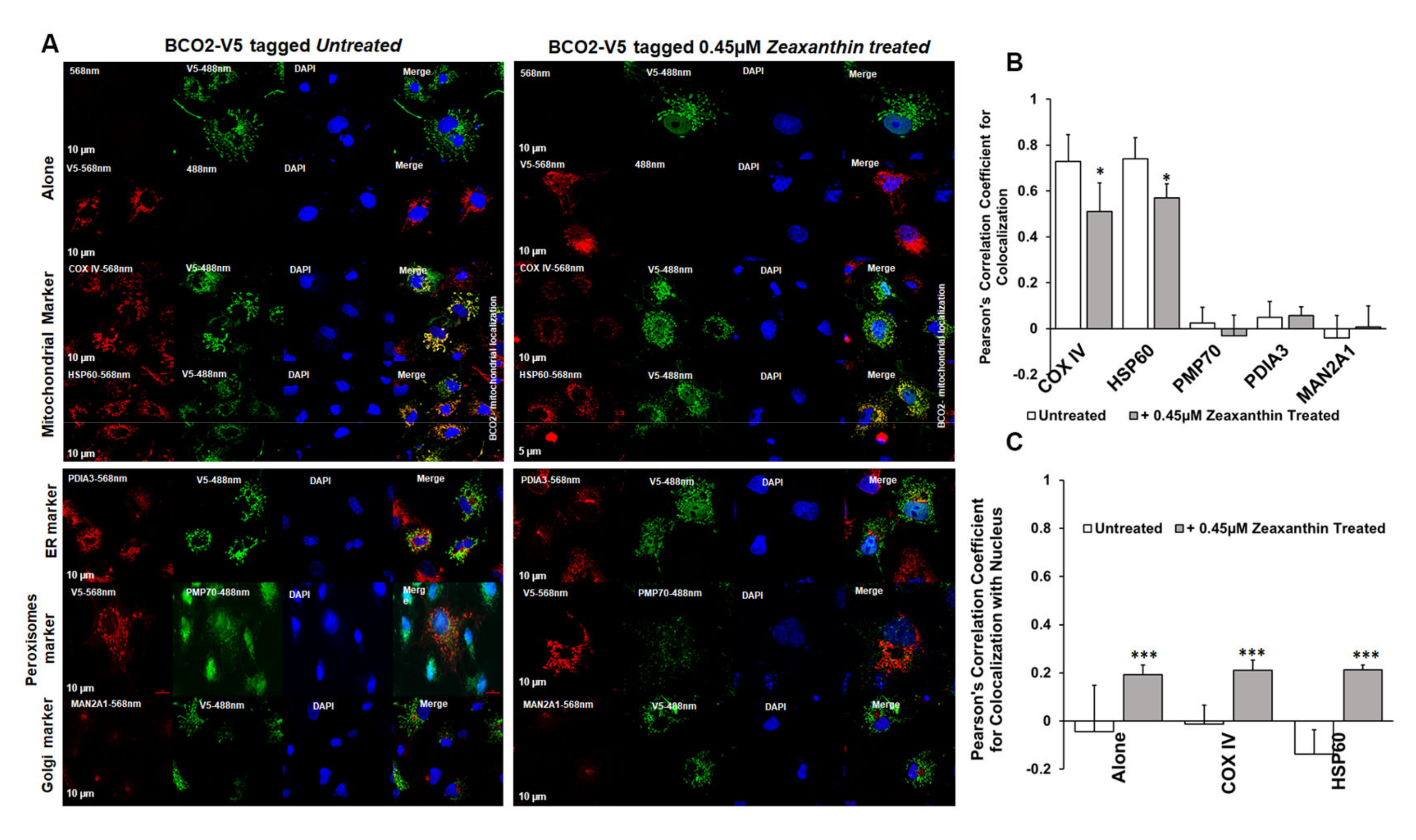 Antioxidants 10 00413 g004