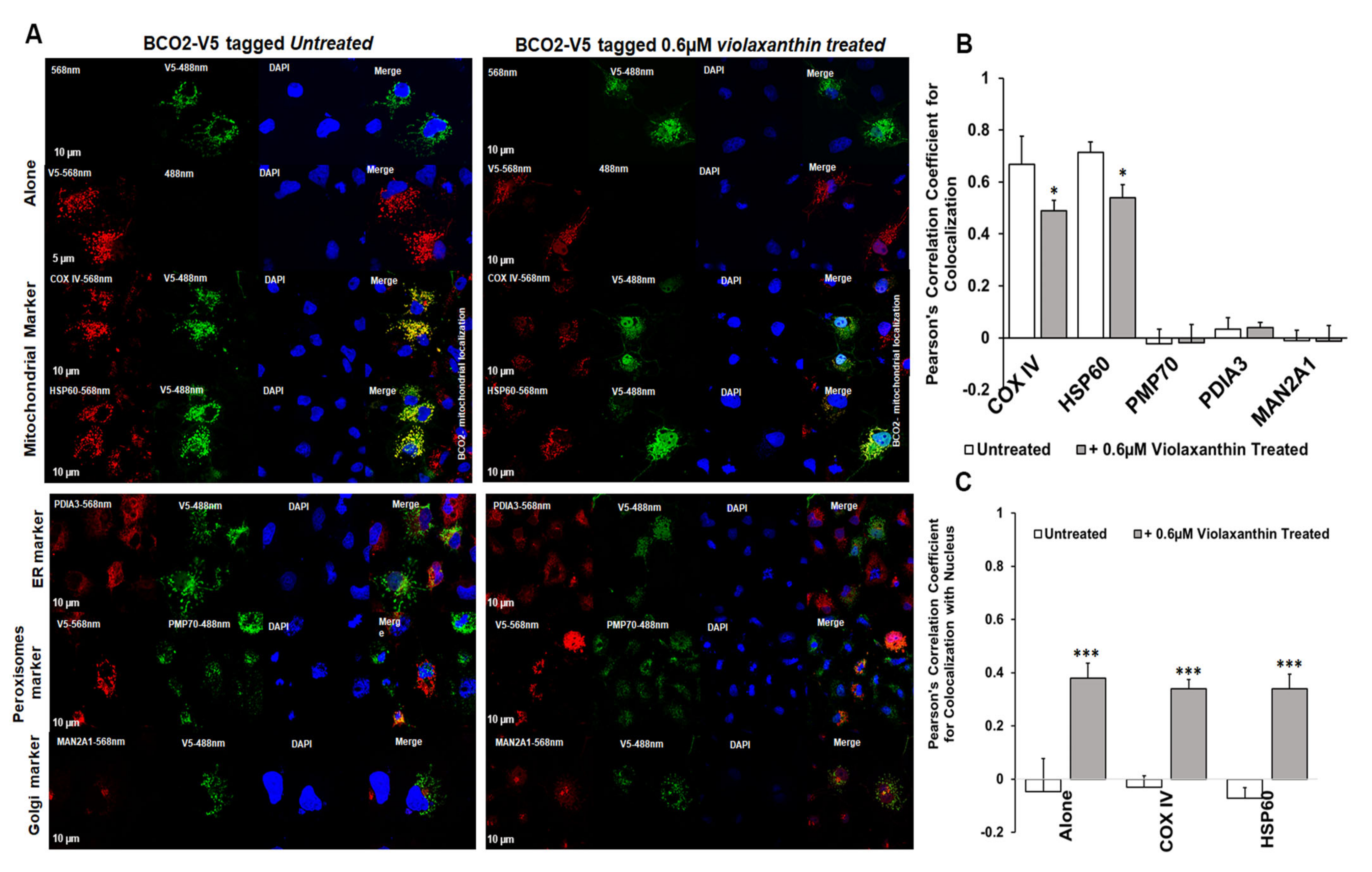 Antioxidants 10 00413 g005