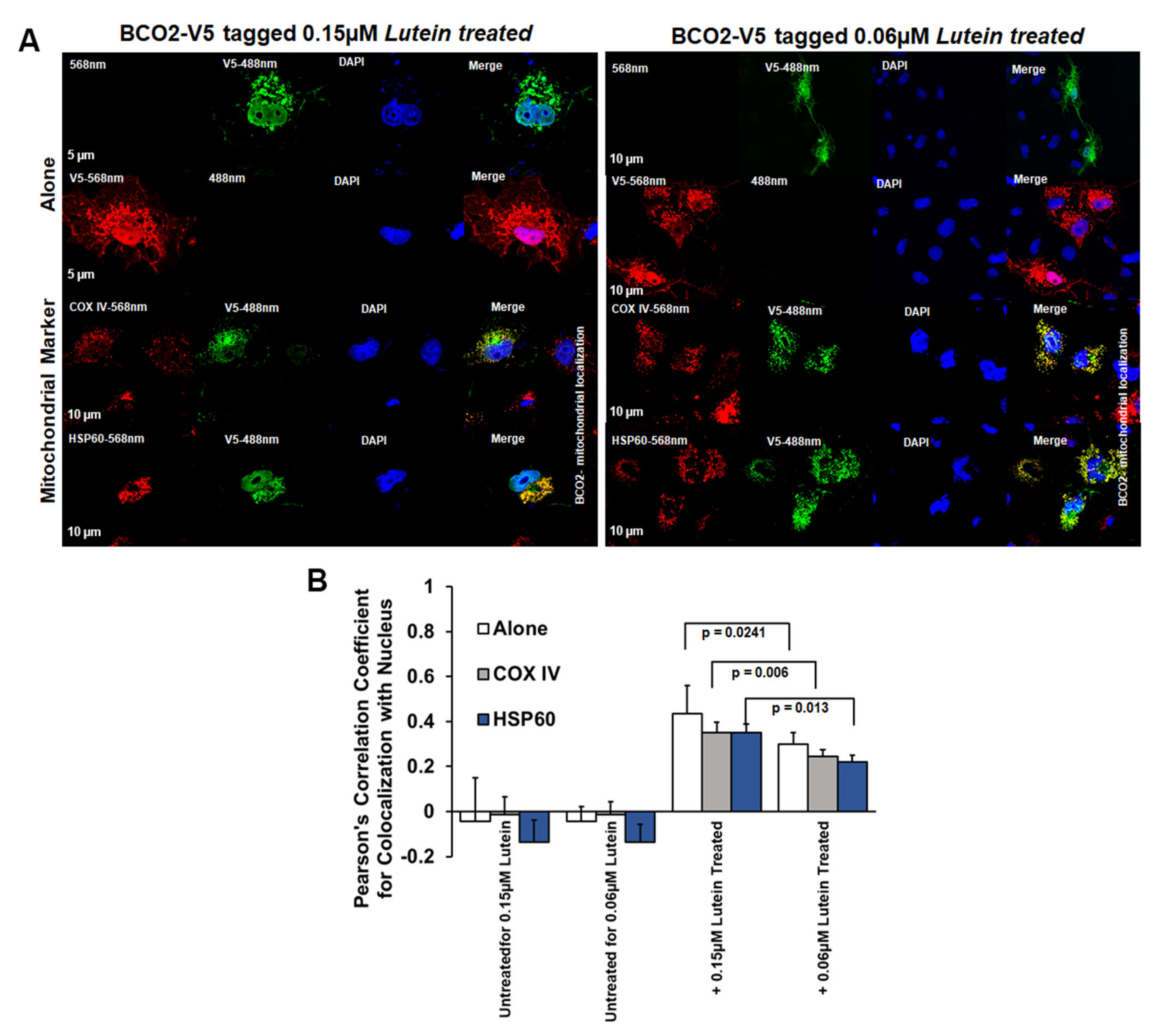 Antioxidants 10 00413 g006