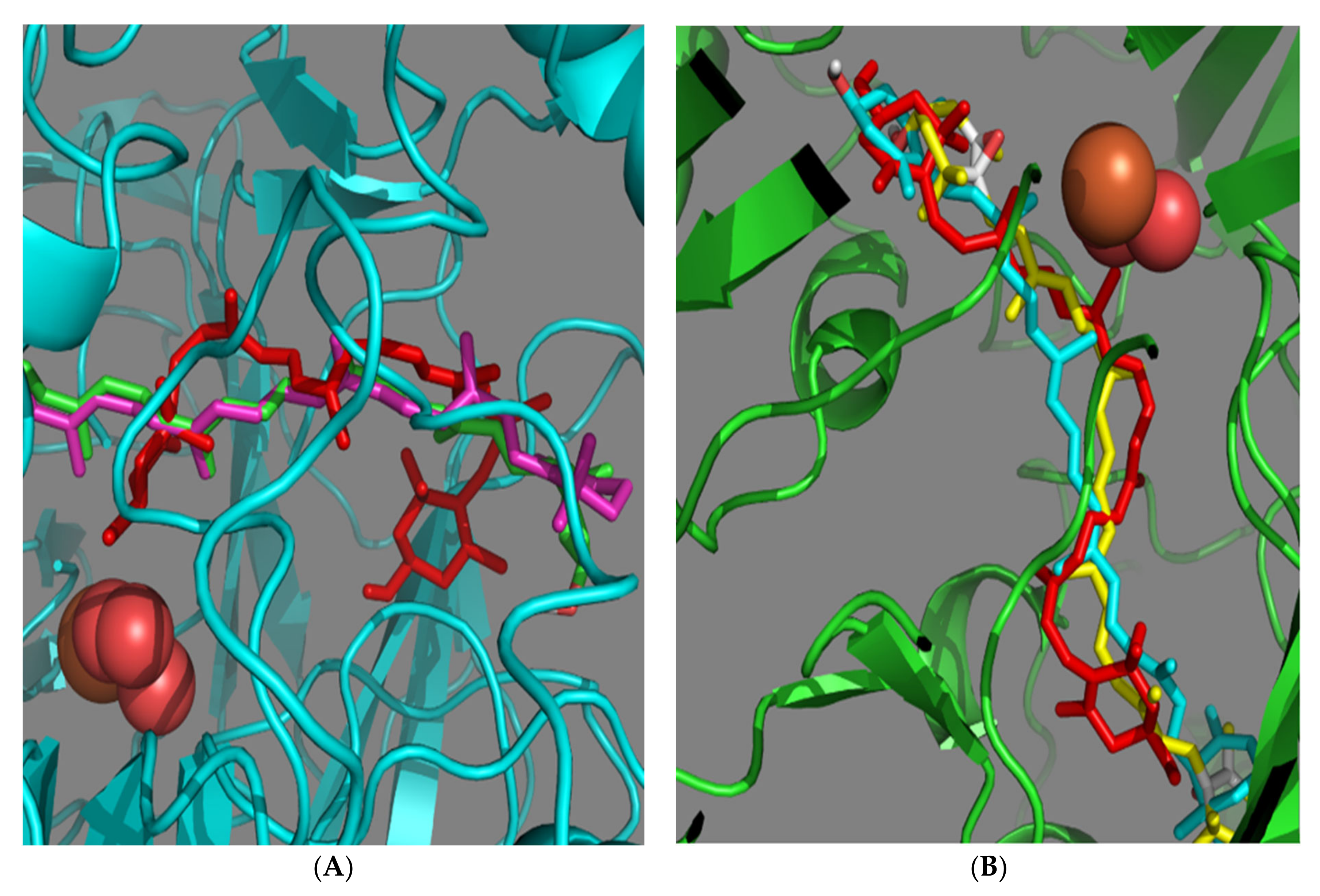 Antioxidants 10 00413 g007