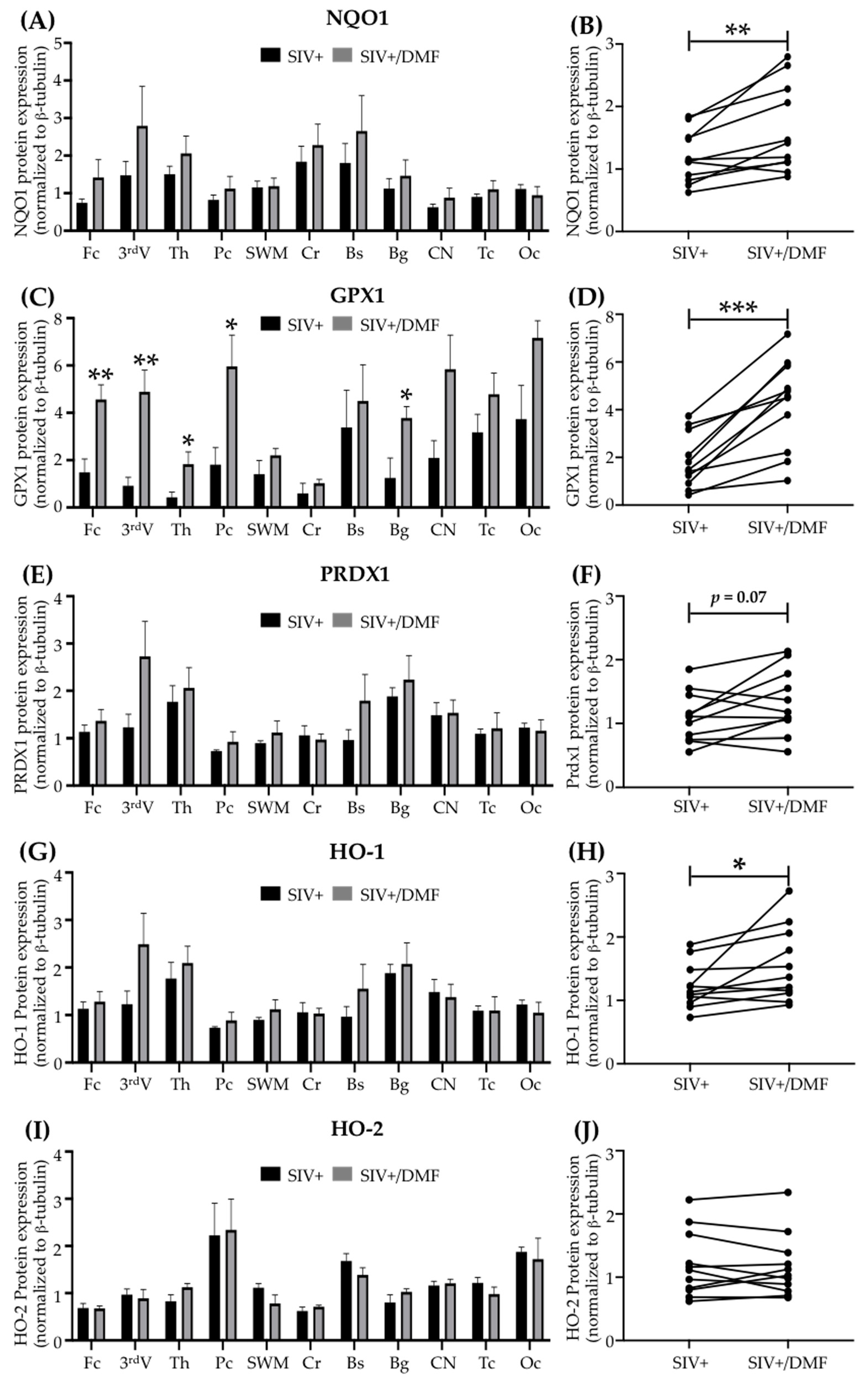 Antioxidants 10 00416 g004 Antioxidants 10 00416 g004
