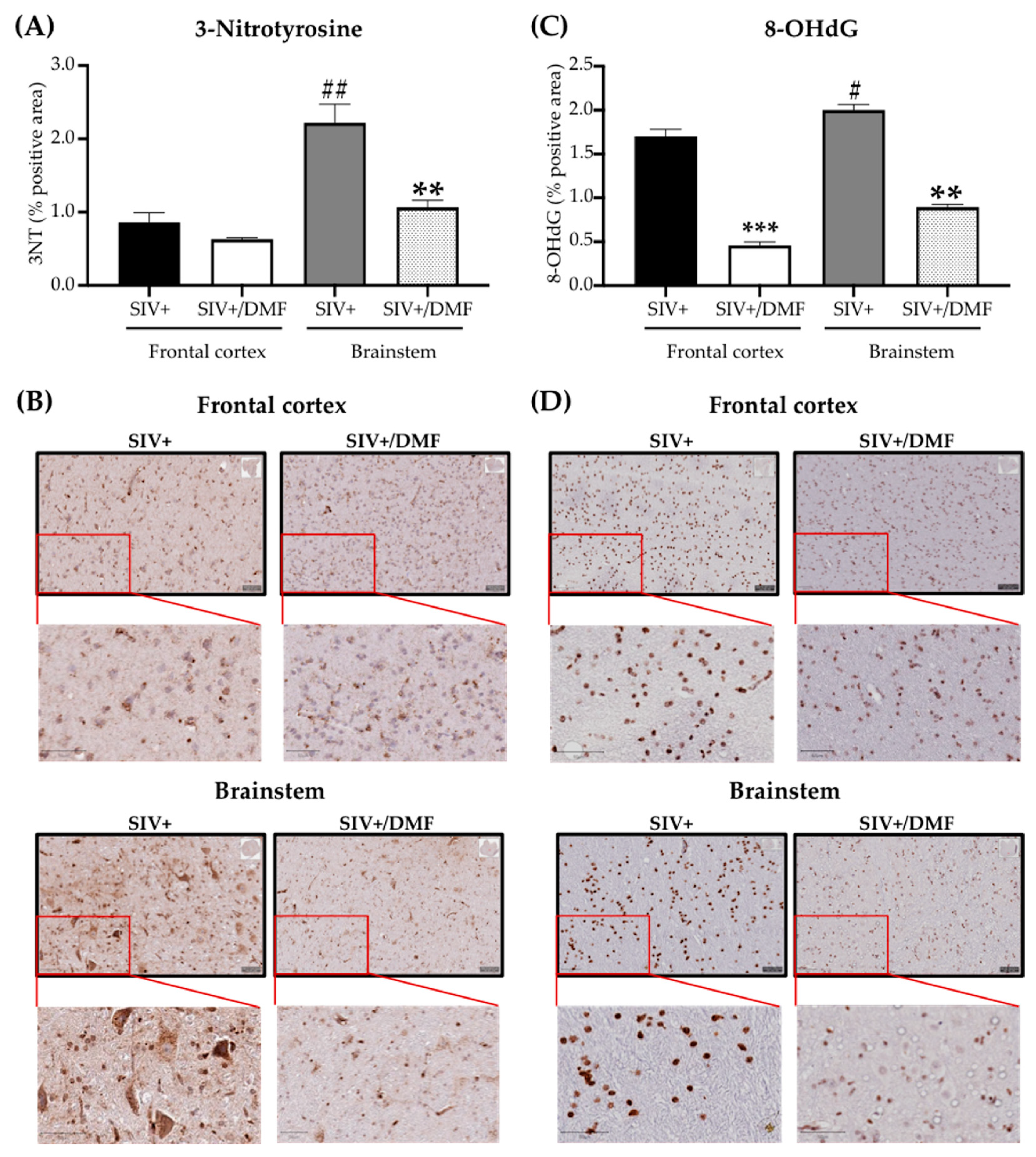 Antioxidants 10 00416 g006 Antioxidants 10 00416 g006