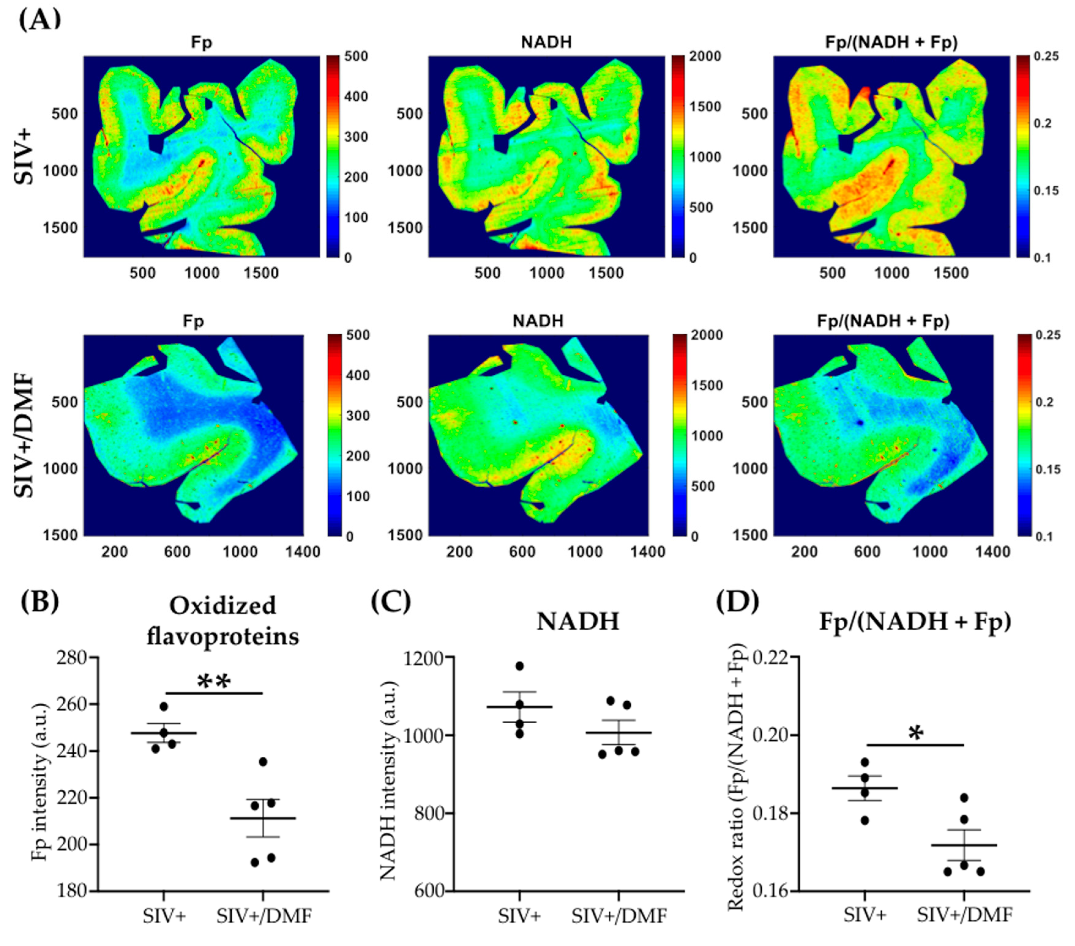 Antioxidants 10 00416 g007 Antioxidants 10 00416 g007