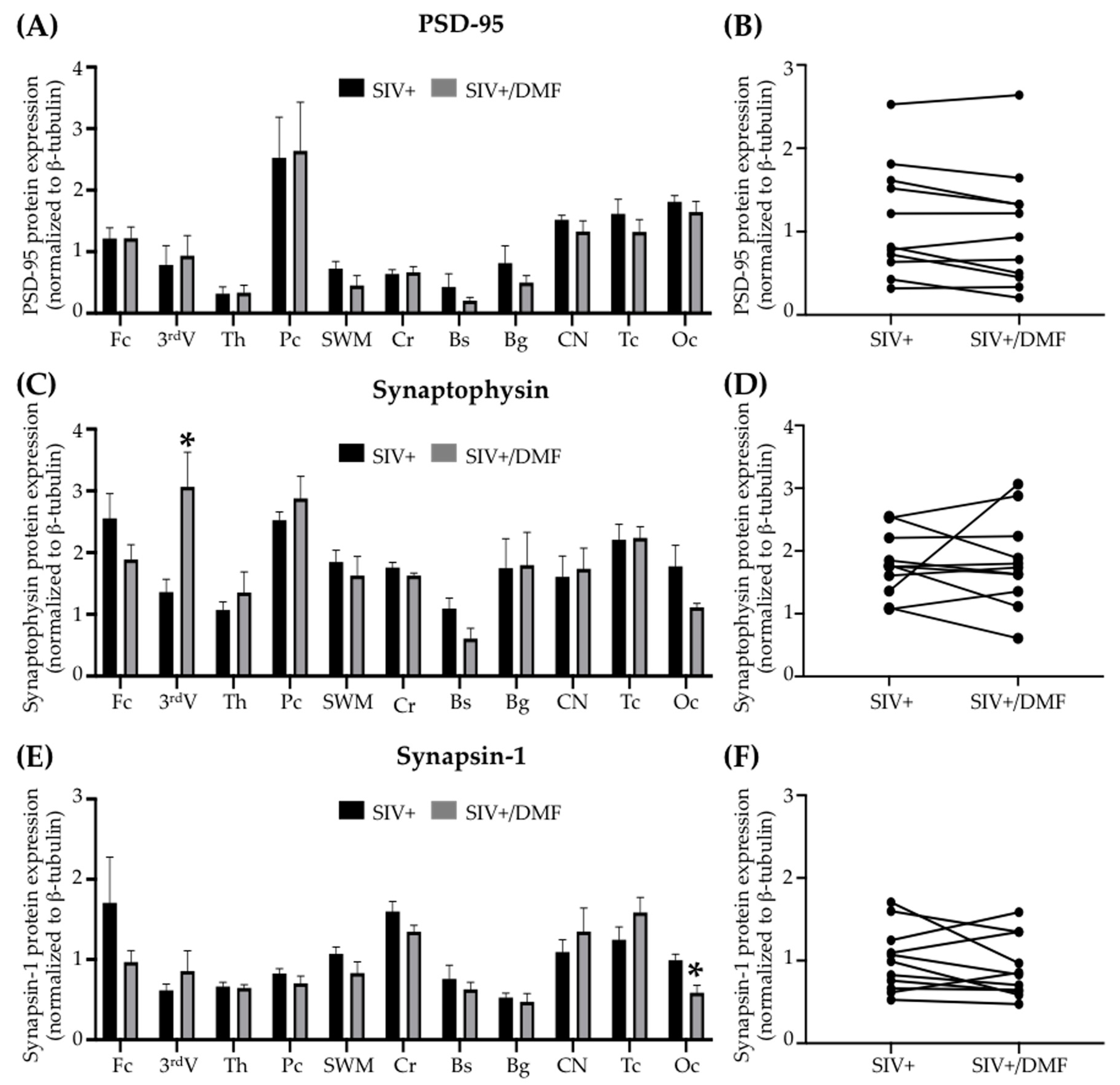 Antioxidants 10 00416 g010 Antioxidants 10 00416 g010