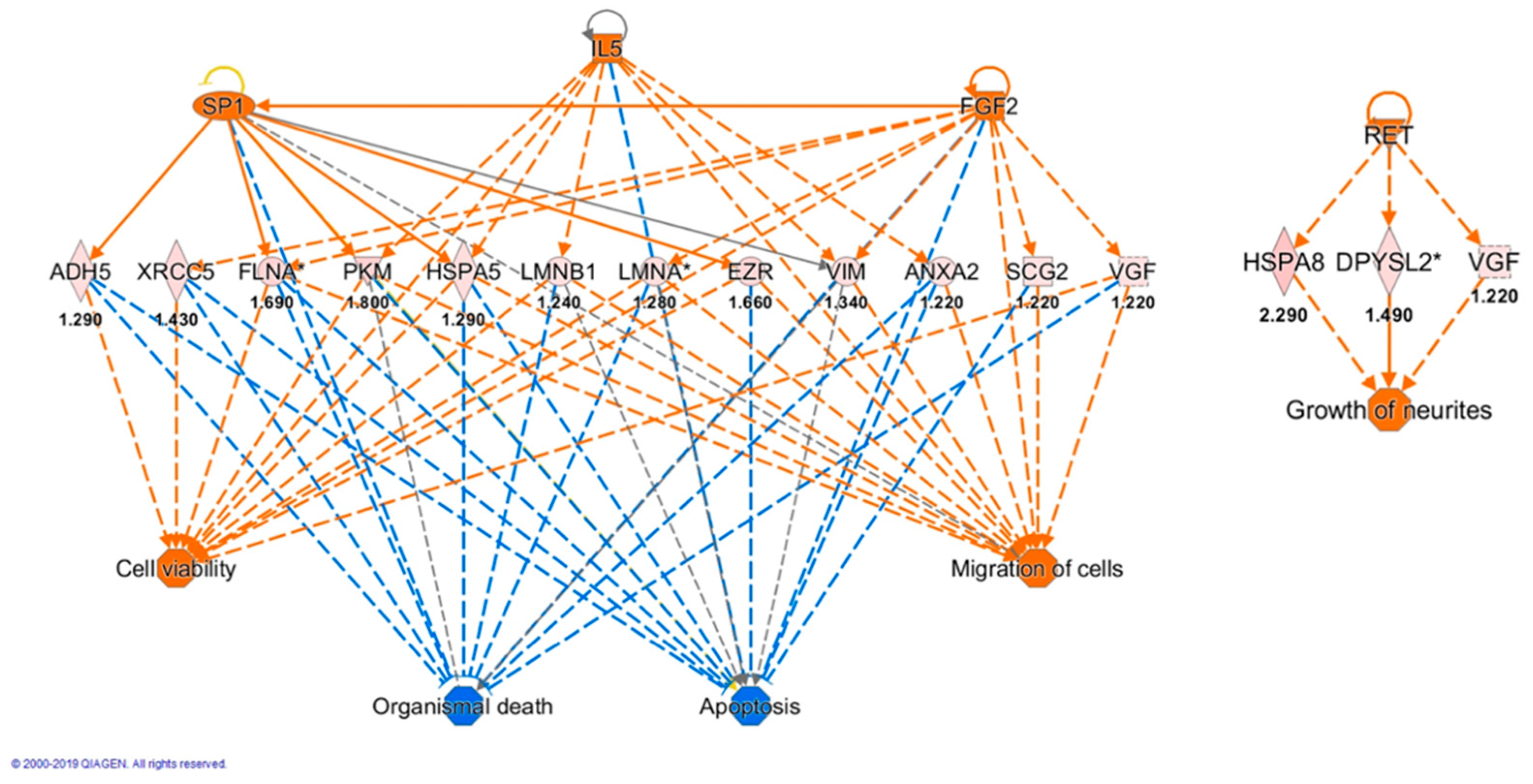 Antioxidants 10 00421 g007 Antioxidants 10 00421 g007