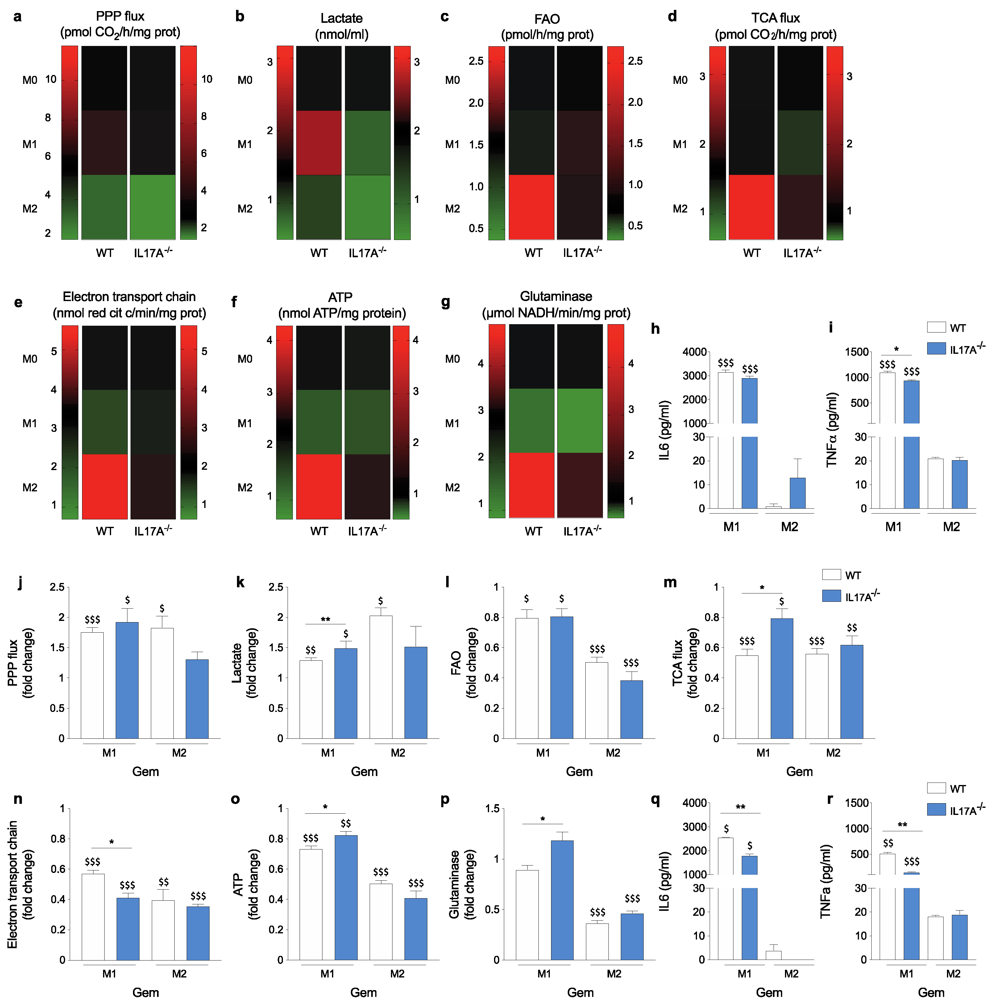 Antioxidants 10 00422 g003 Antioxidants 10 00422 g003