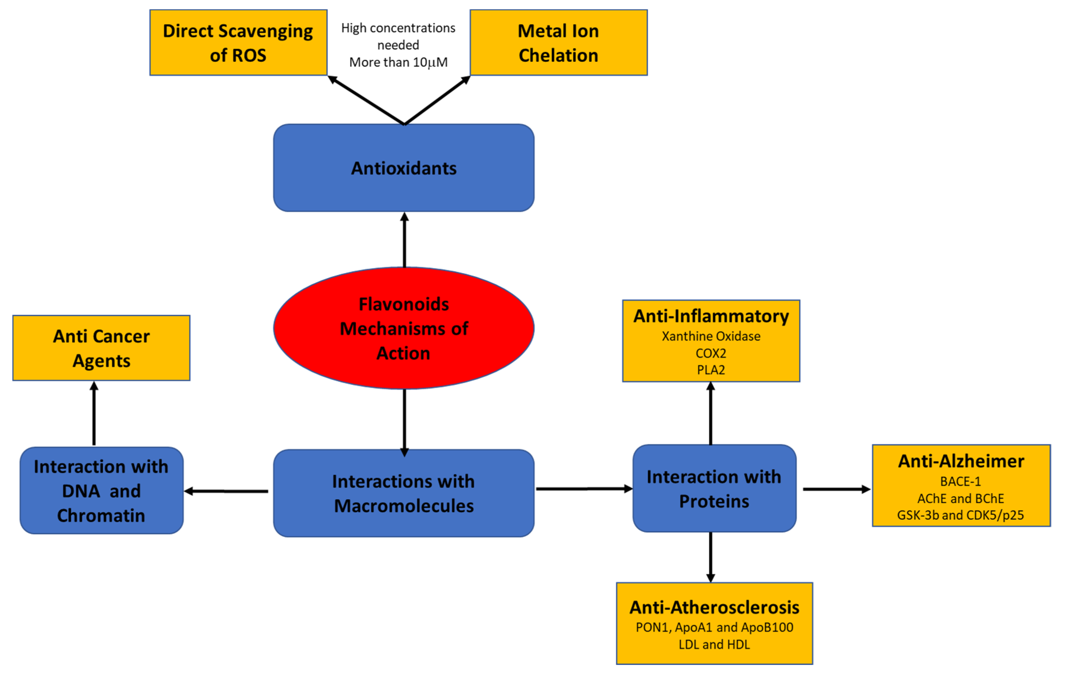 Antioxidants 10 00423 g002 Antioxidants 10 00423 g002