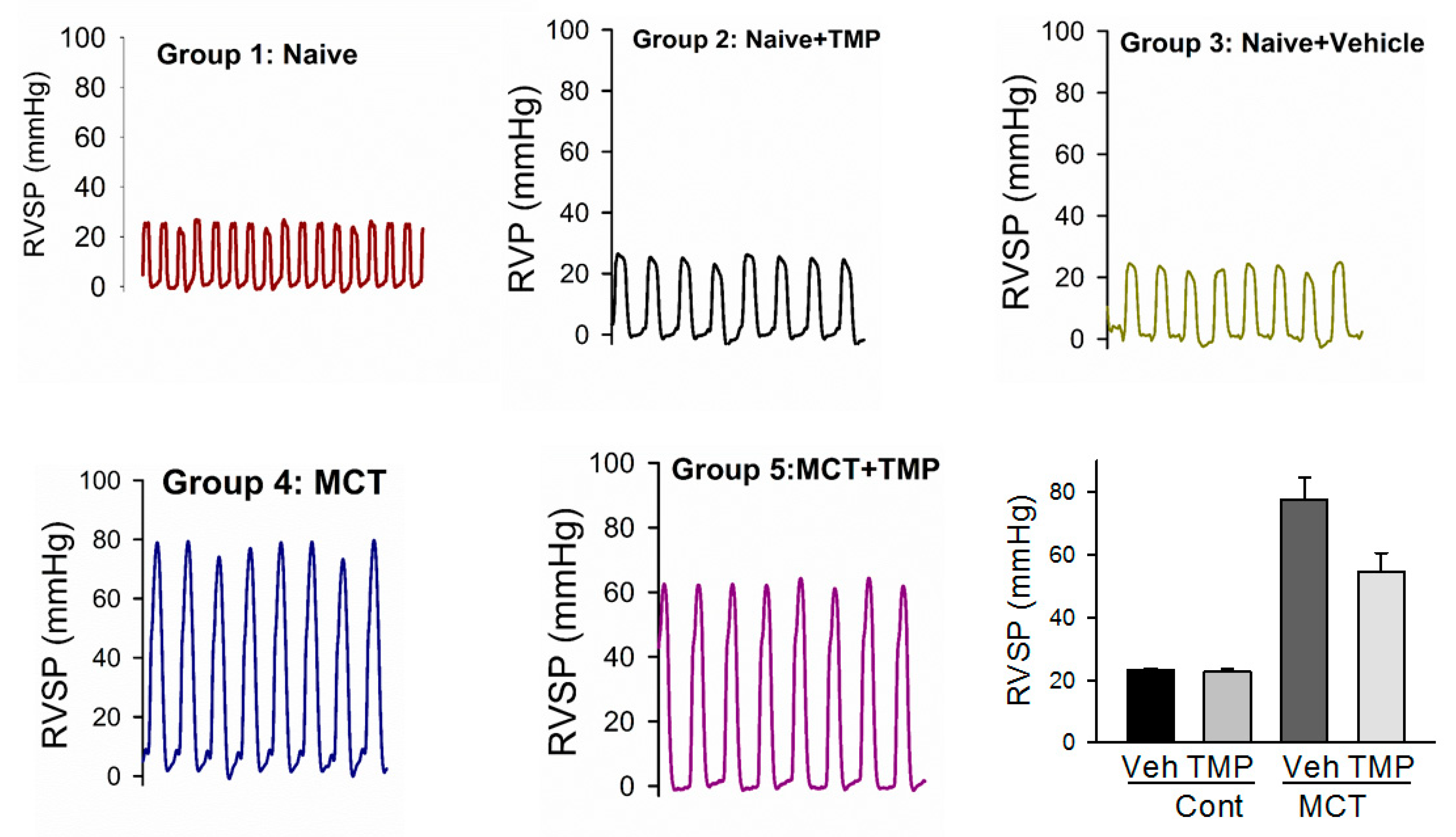 Antioxidants 10 00427 g011