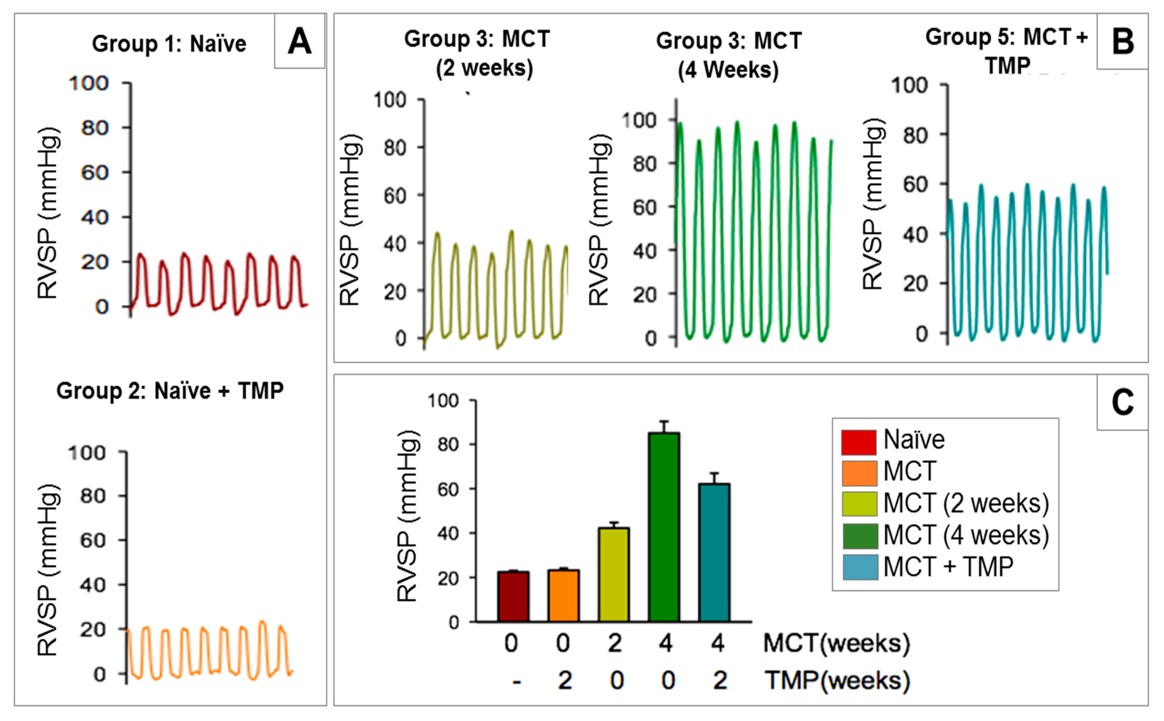 Antioxidants 10 00427 g013