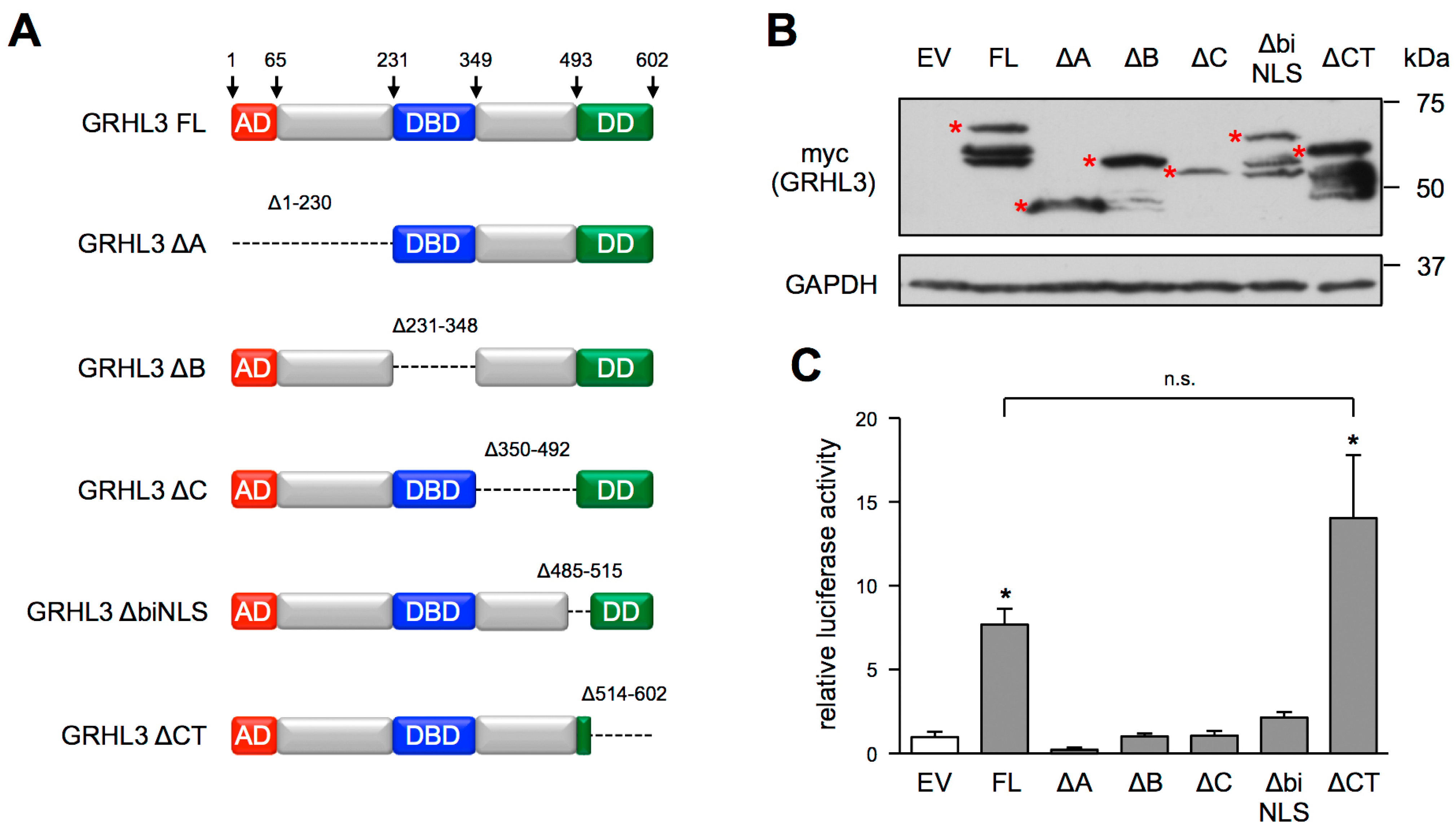 Antioxidants 10 00428 g002