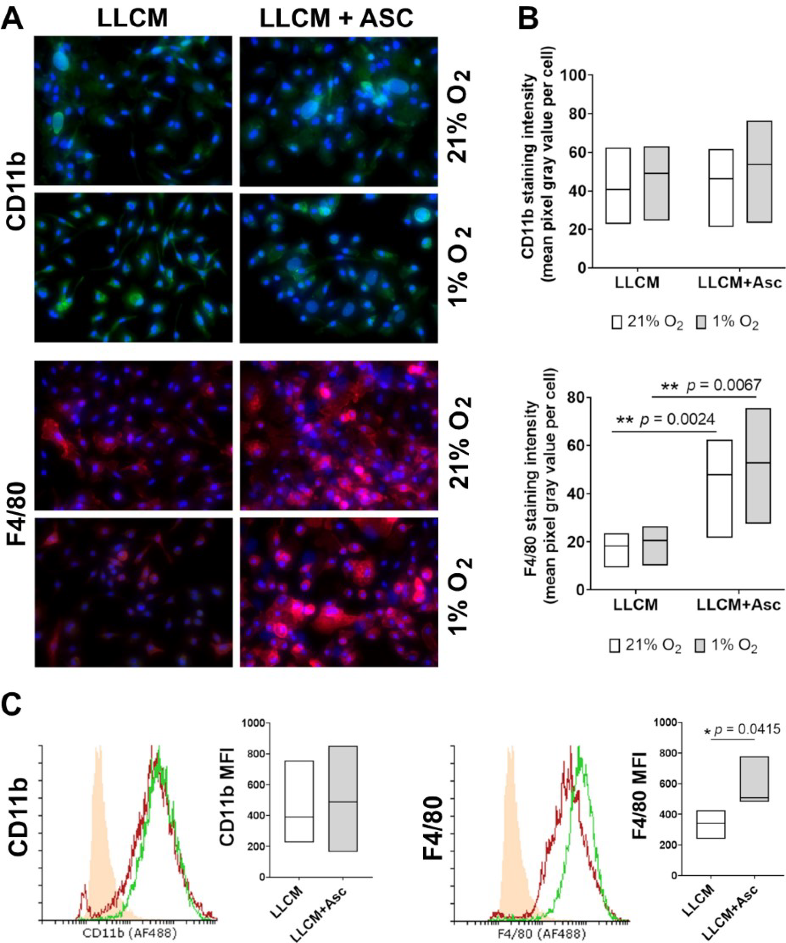 Antioxidants 10 00430 g001