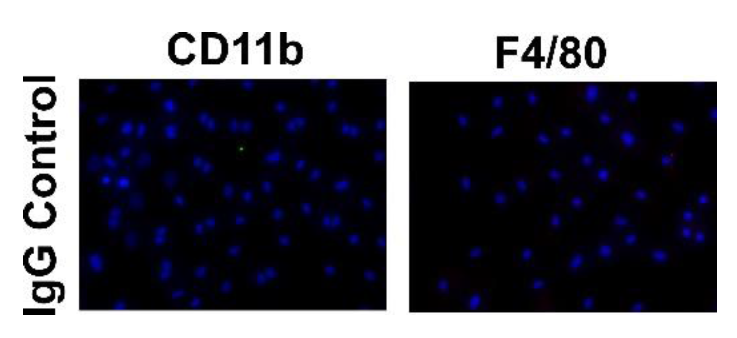 Antioxidants 10 00430 g0a1